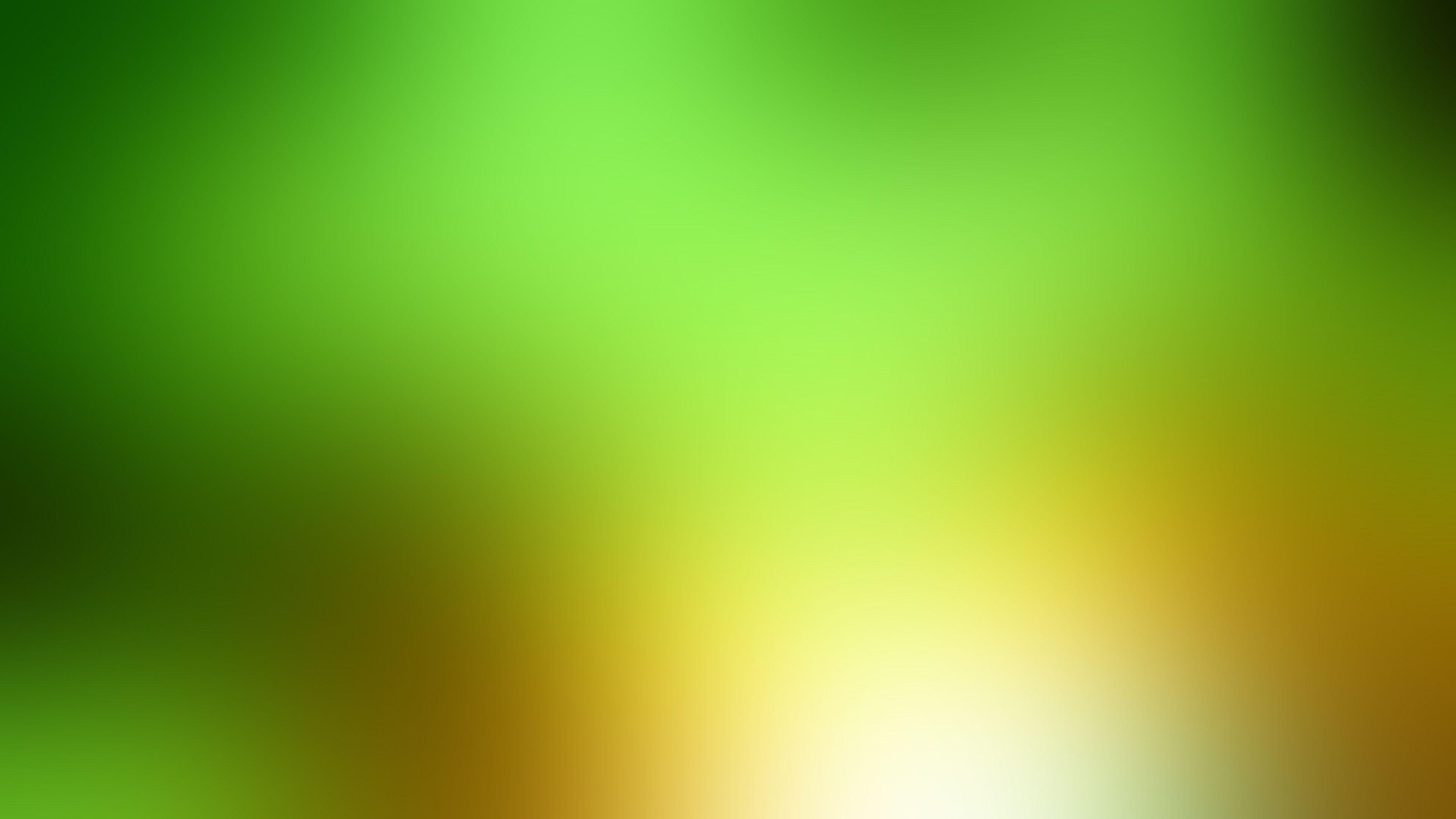 Green and Yellow Wallpapers Top Free Green and Yellow Backgrounds