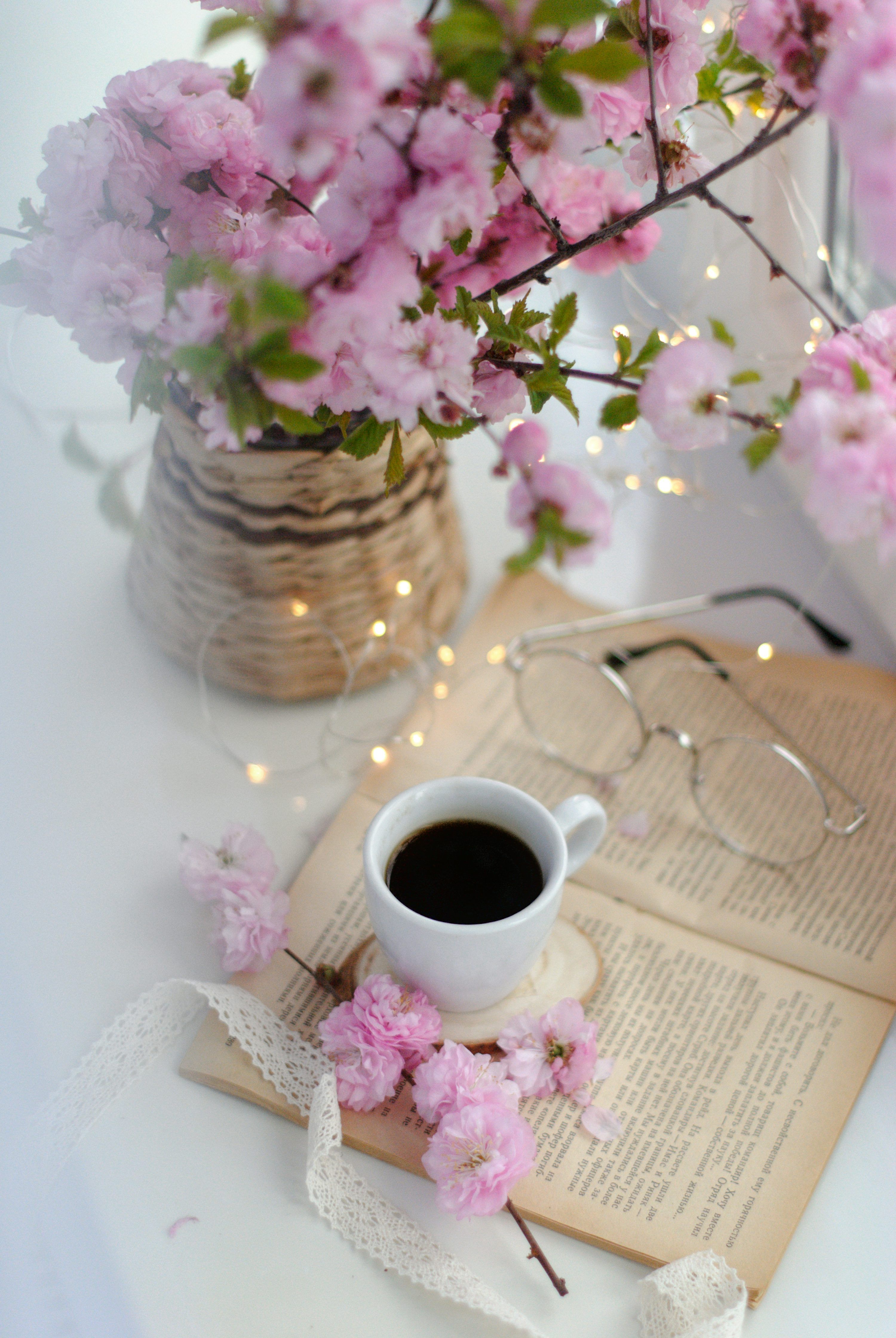 3000x4481 Coffee With Flower Picture. Download Free Image