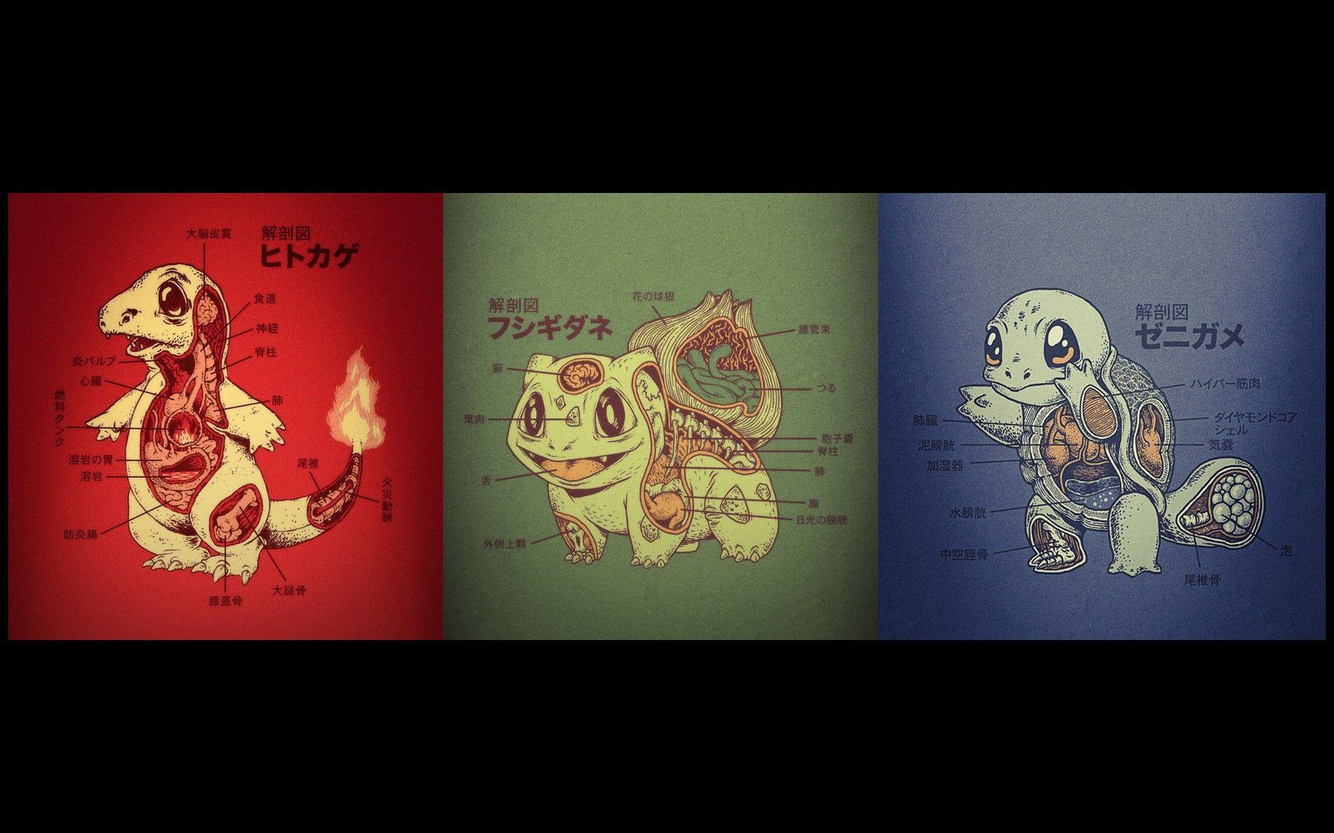 1920x1200 Starter Pokemon Anatomy Wallpaper [1920x1200]