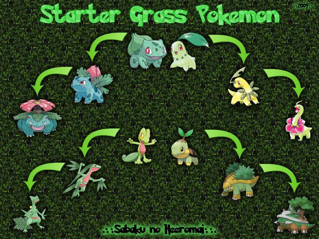 1024x768 Water Pokemon Wallpaper