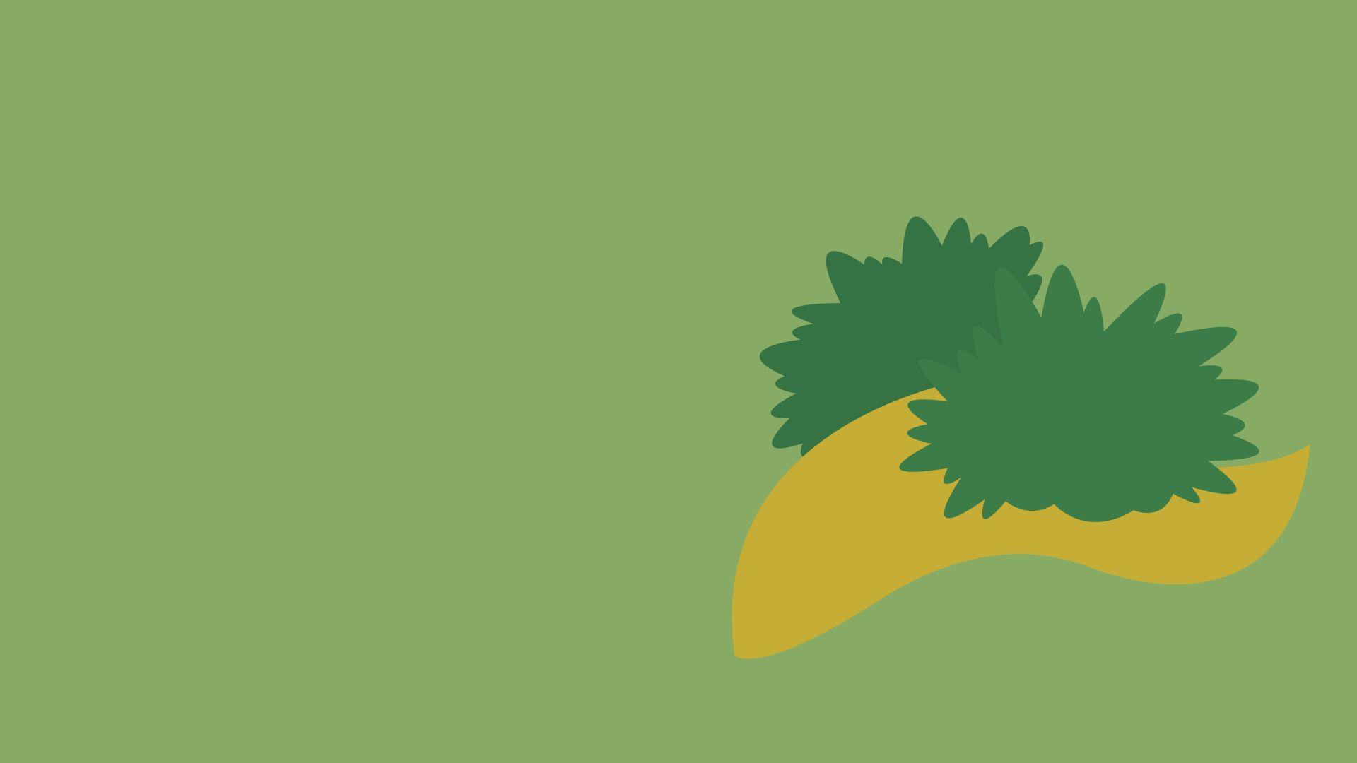 1920x1080 Torterra HD Wallpaper