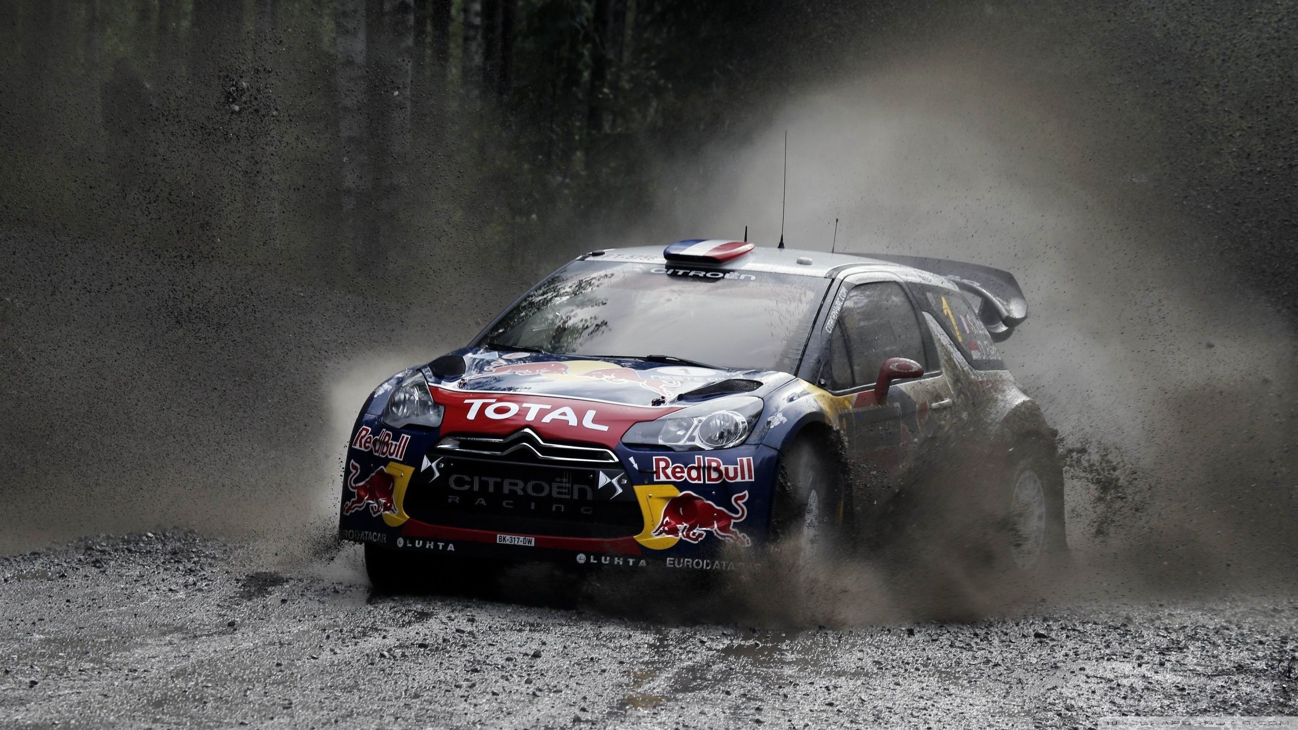2560x1440 Citroen Rally WRC Redbull 4K UHD Wallpaper for UltraHD Desktop and TV : Dual Monitor : Smartphone and Tablet Devices