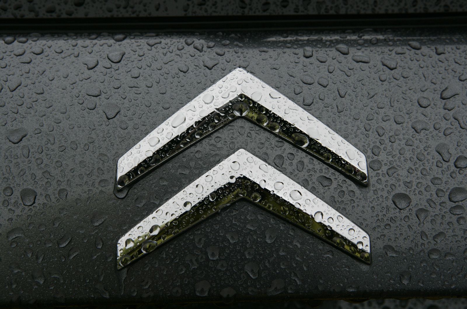 1600x1060 Polestar logo temporarily banned in France over Citroen similarity