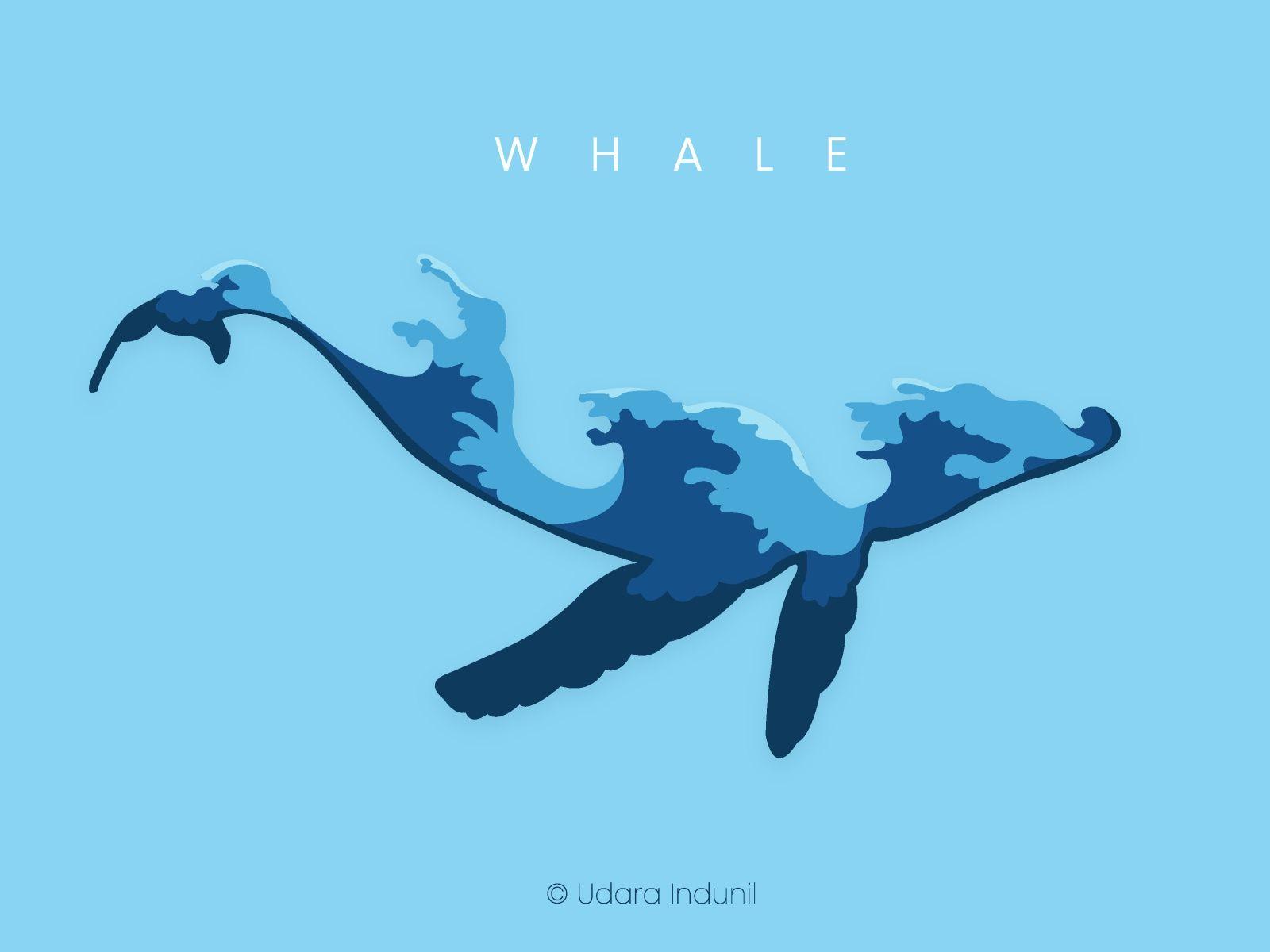 Minimalist Whale Wallpapers Top Free Minimalist Whale Backgrounds Wallpaperaccess 5572