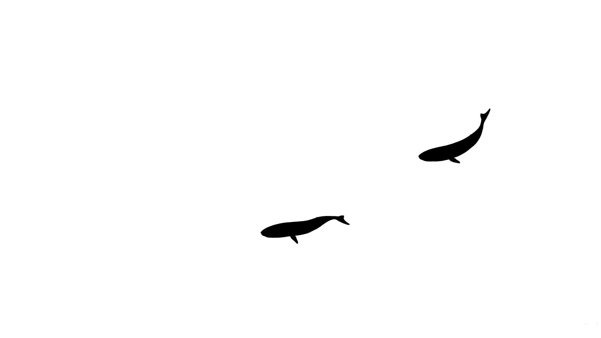 1920x1080 