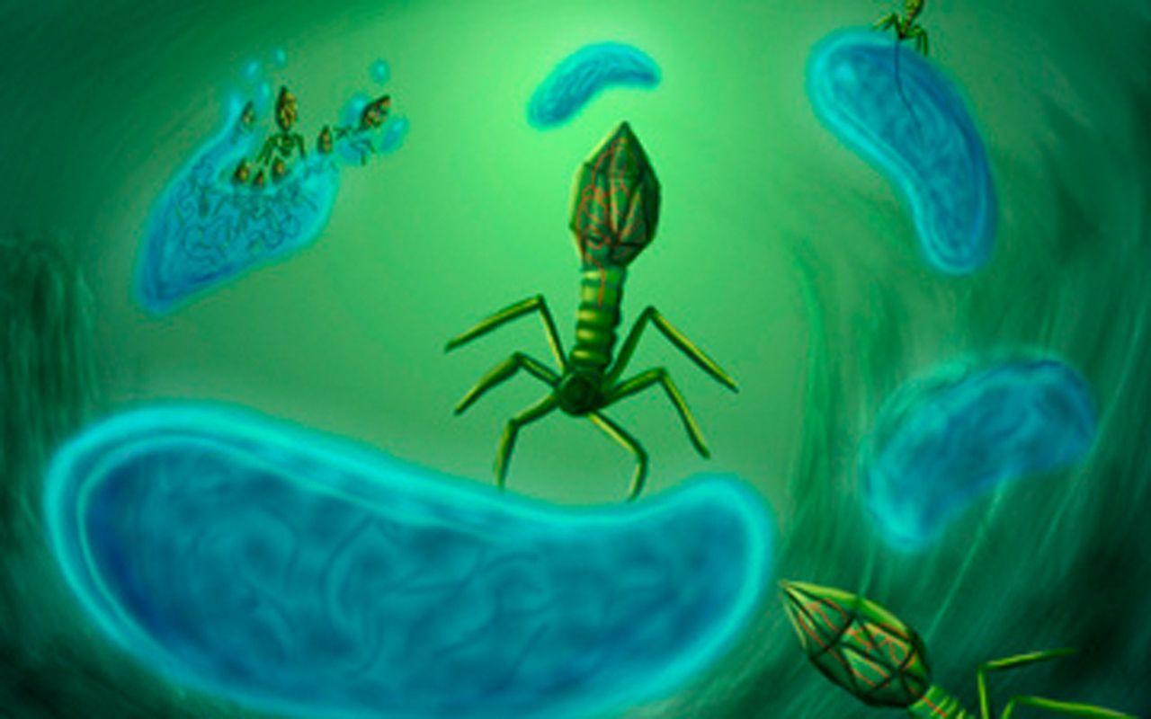 1280x800 Cell Biology Wallpaper