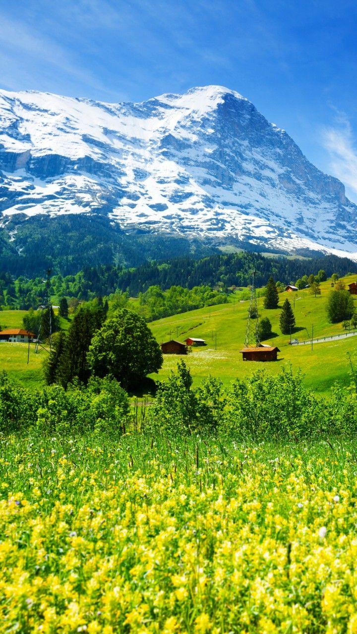 720x1280 Wallpaper Switzerland, 5k, 4k wallpaper, mountains, meadows