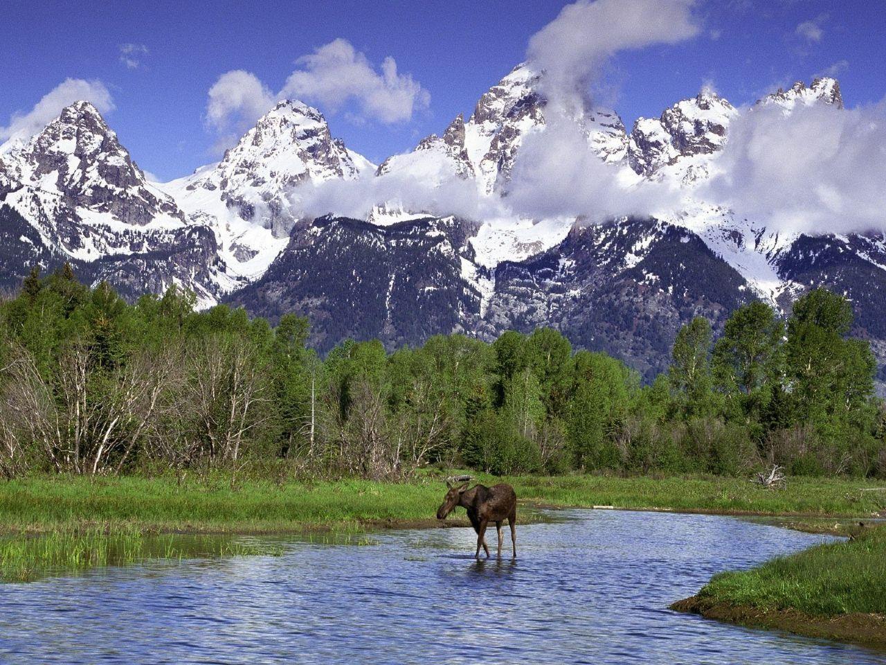 1280x960 Free Grand Teton Wallpaper