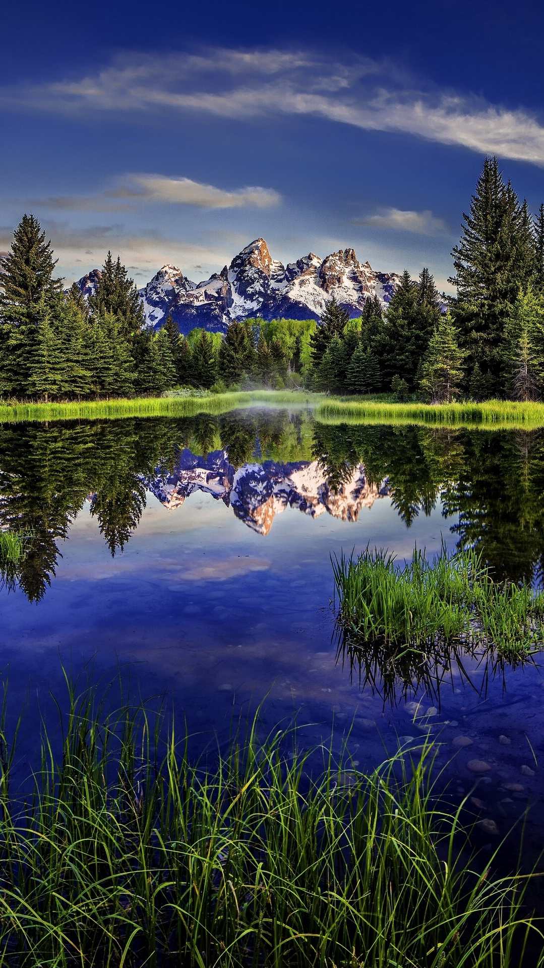 1079x1919 Beaver Pond Grand Teton National Park Android Wallpaper