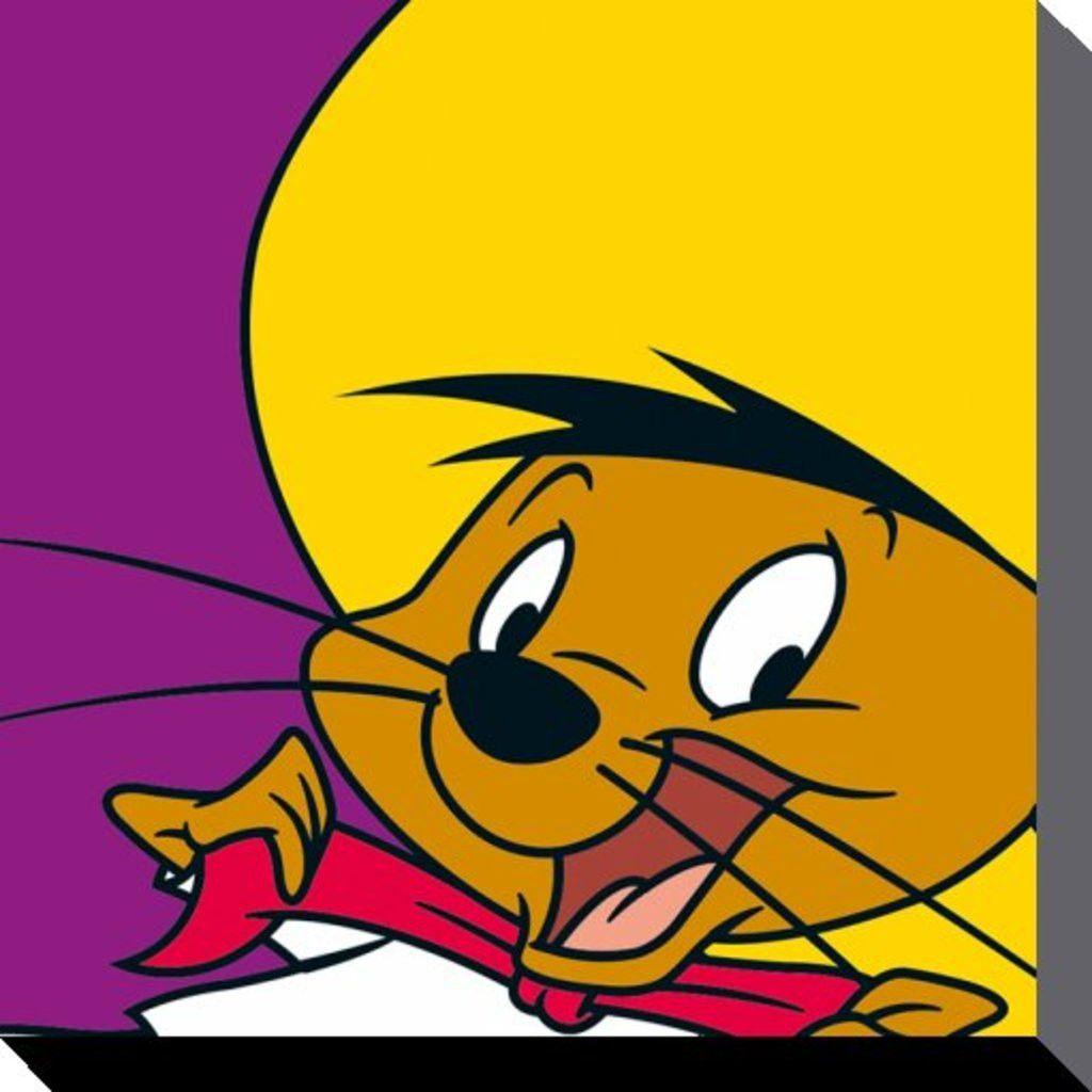 1024x1024 Looney Tunes Speedy Gonzales Brand New Official Canvas Print Size
