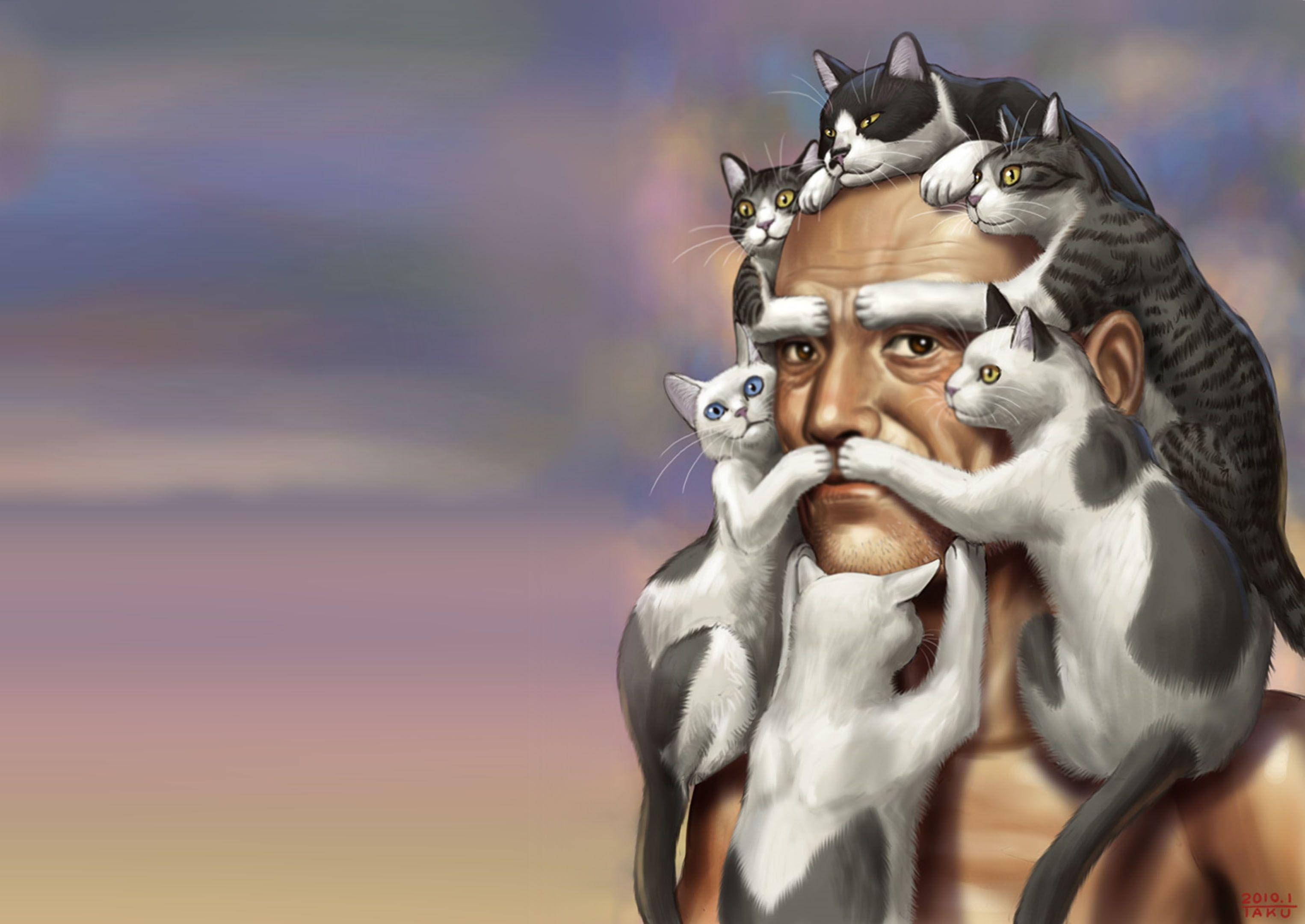 3051x2161 cats, WTF, cat beard, soft shading, Indian wallpaper
