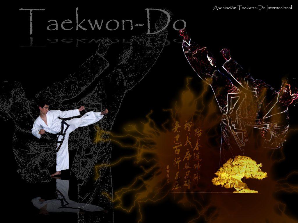 1024x768 taekwondo itf wallpaper