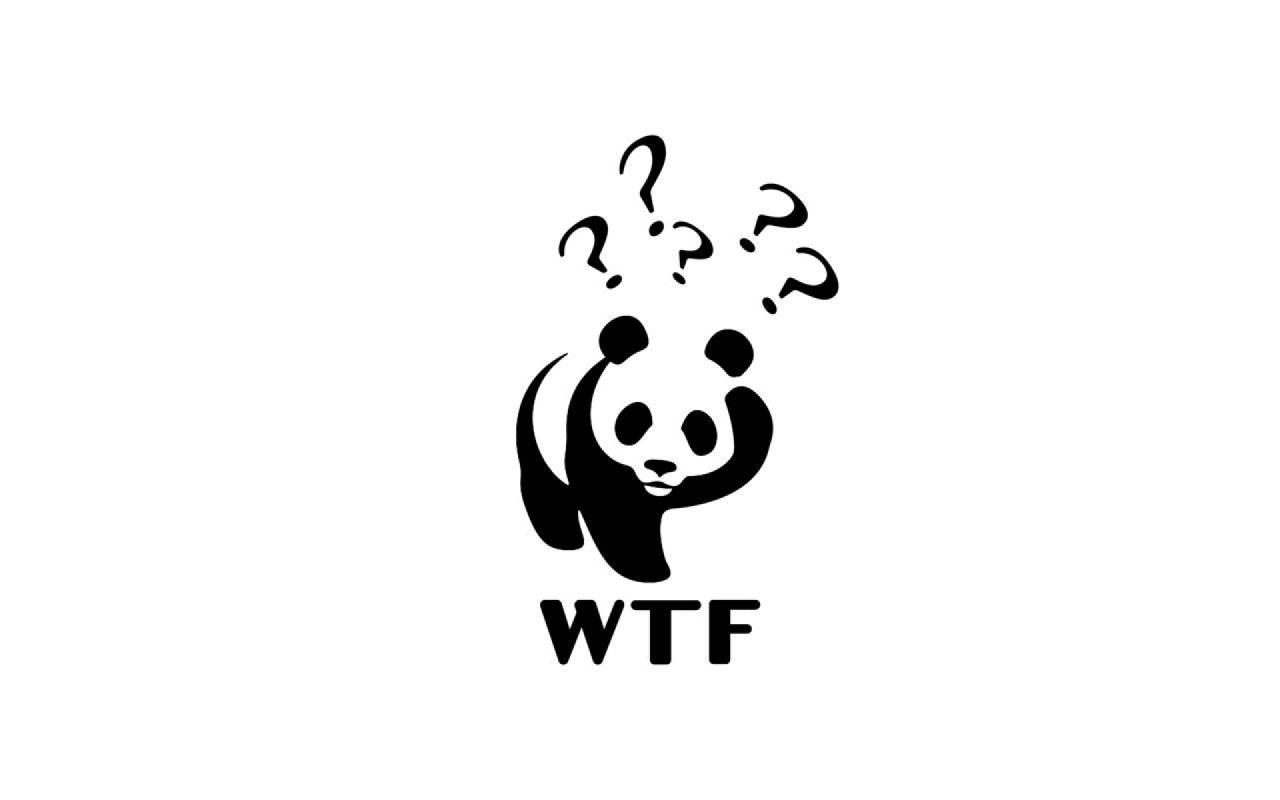 1280x800 Originalwide Confused Panda Wallpaper Wtf