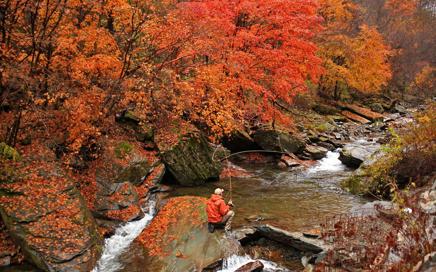 1440x900 Fly Fishing HD Wallpaper