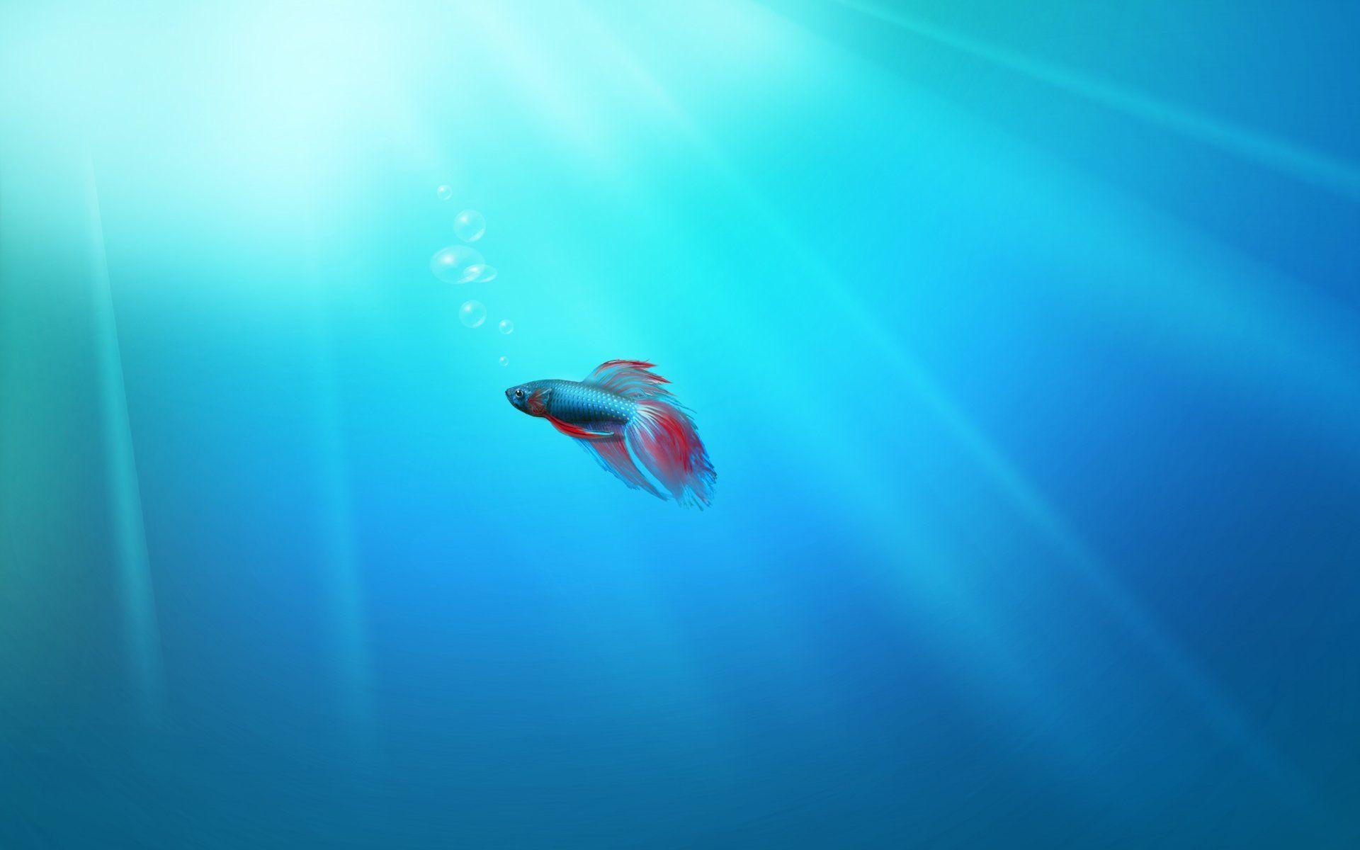 1920x1200 HD Wallpaper for Windows 7