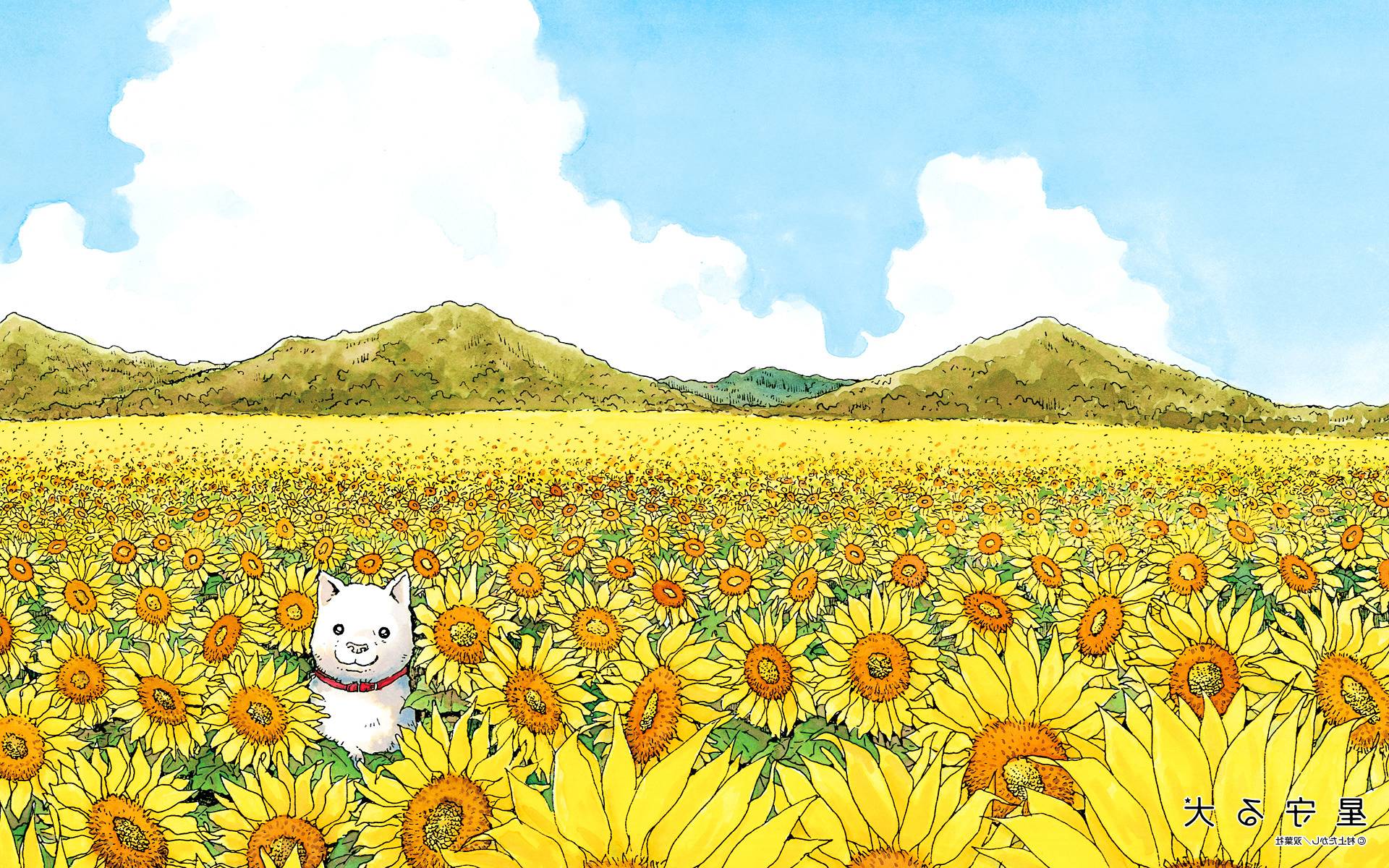 1920x1200 A dog in a field of flowers. One of the less abstract but still