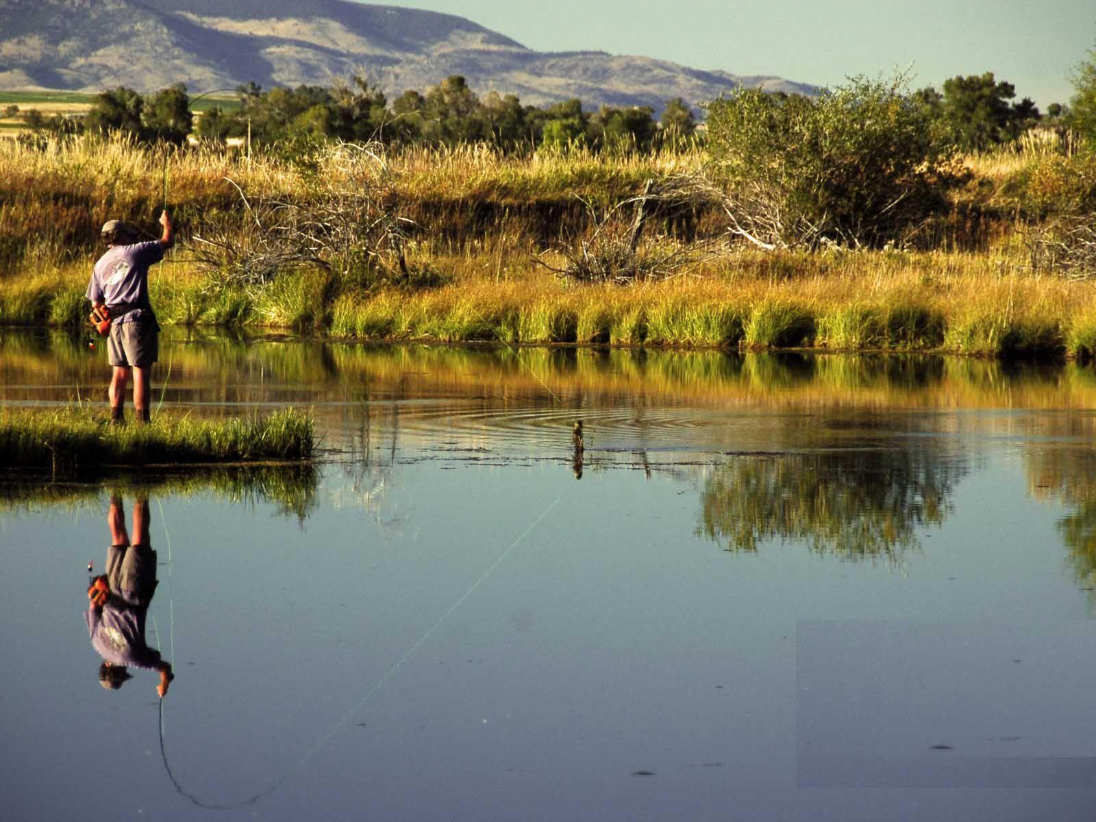 Fly Fishing Wallpapers - Top Free Fly Fishing Backgrounds ...