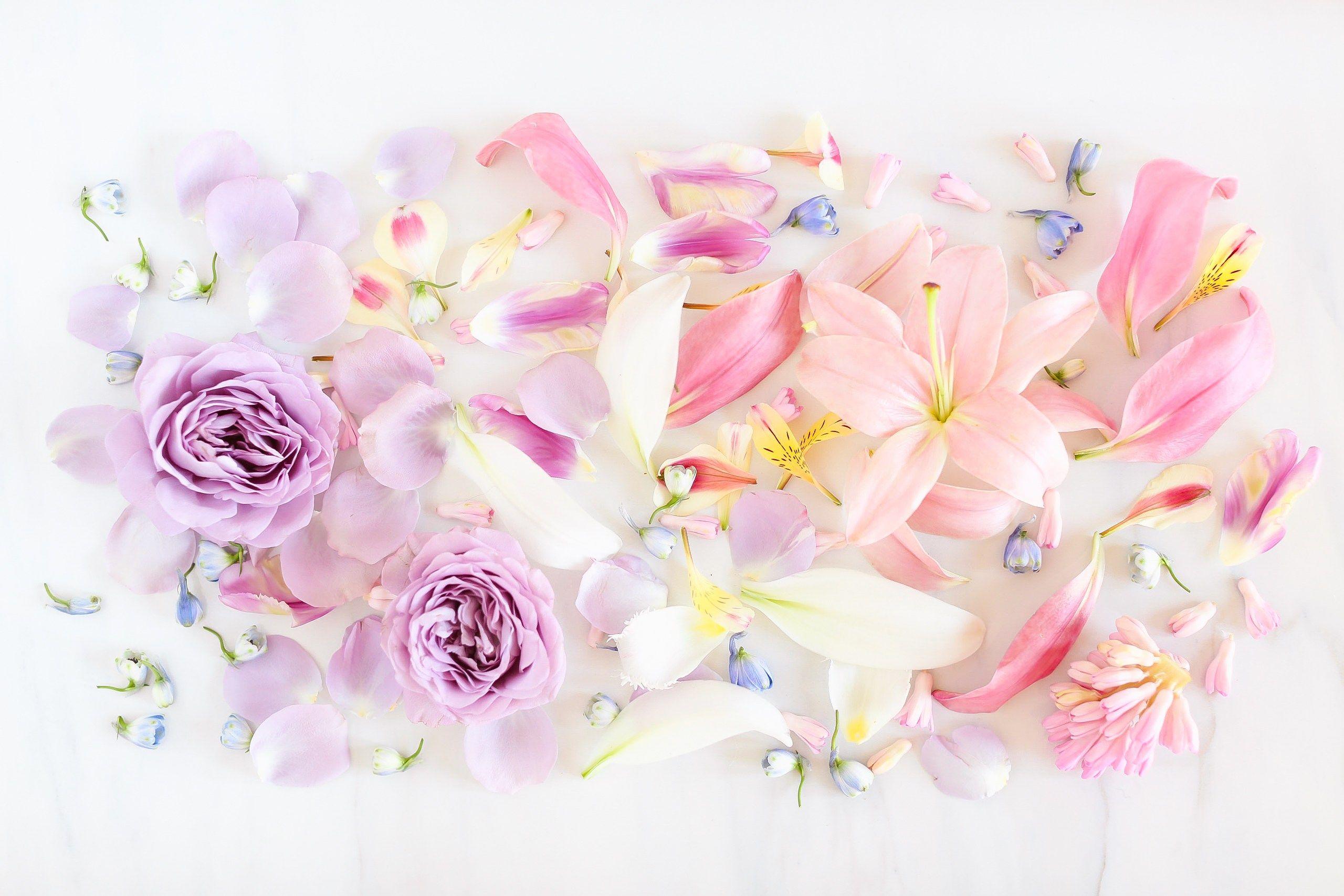 Pastel Spring Flowers Wallpapers - Top Free Pastel Spring Flowers