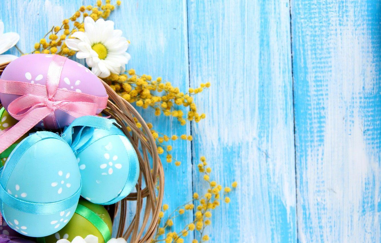 1332x850 Wallpaper flowers, tree, chamomile, eggs, spring, Easter, pastel