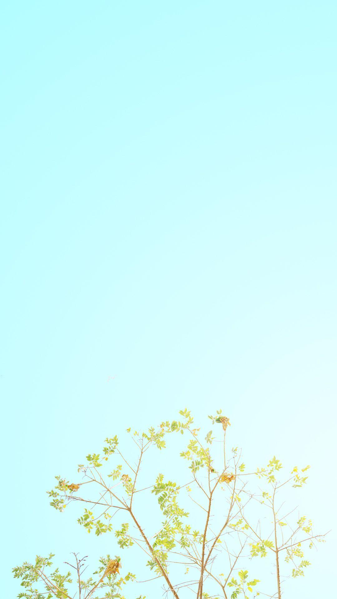 1080x1920 Pastel Minimalist Wallpaper