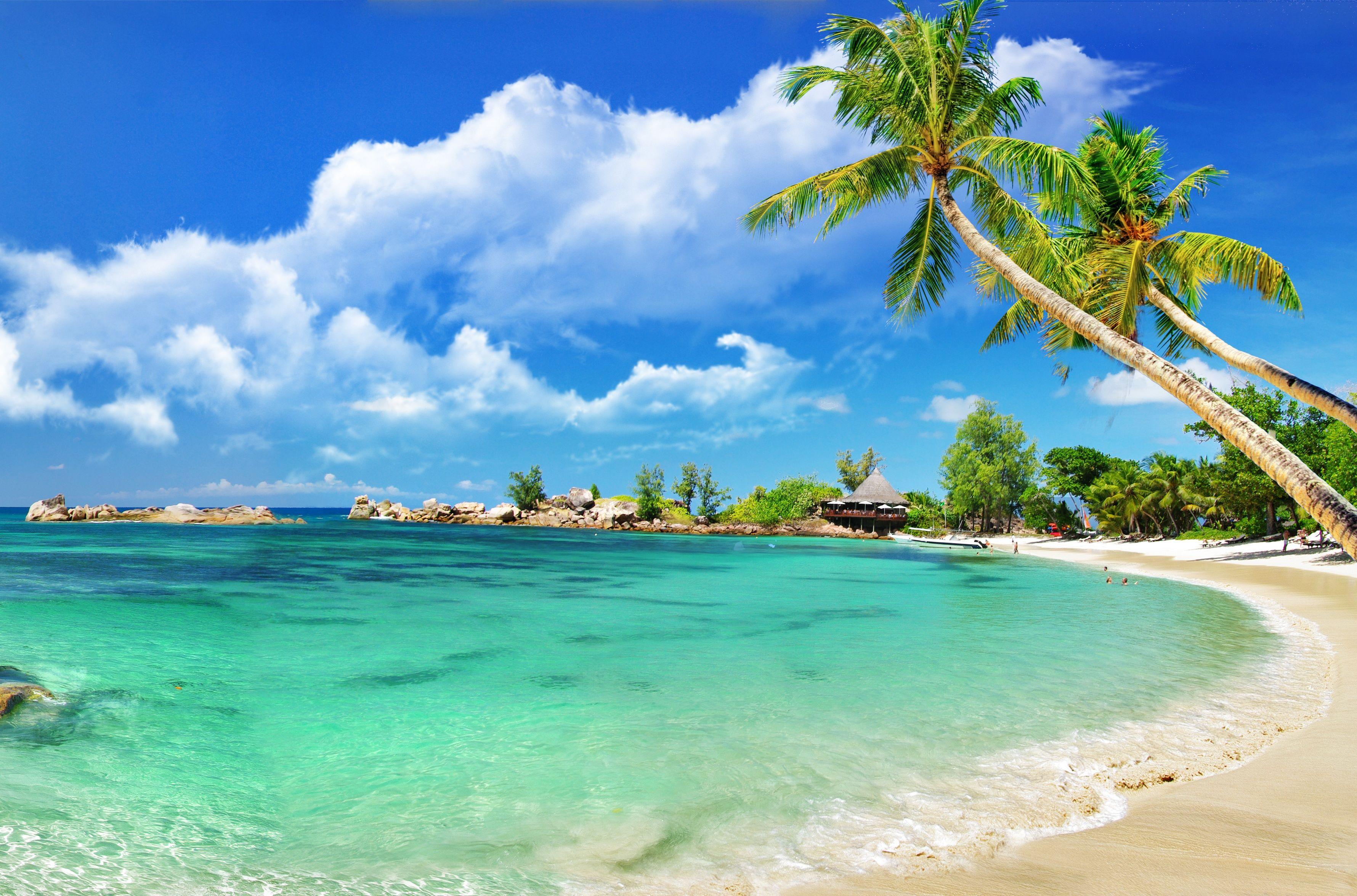 3560x2350 tropical, lagoon, sand, sea, beach, palms, shore wallpaper