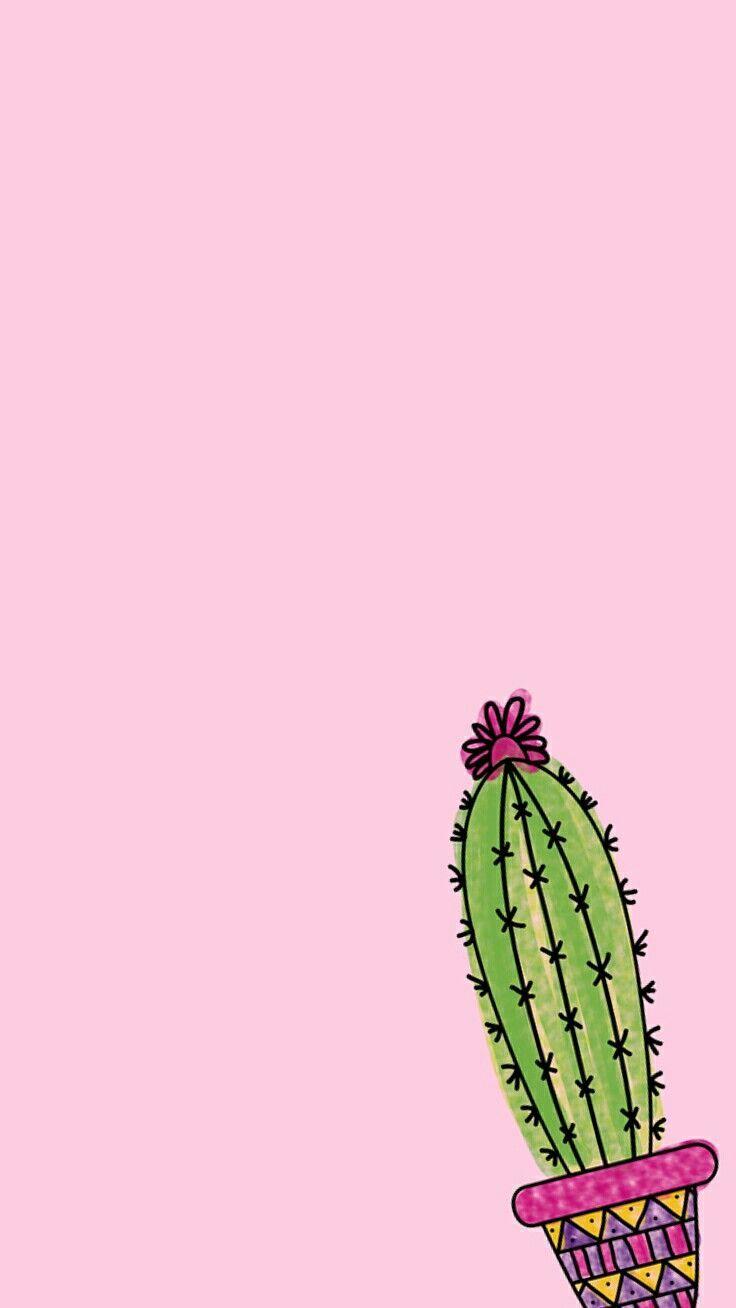 736x1308 iPhone Wallpaper. Cactus, Plant, Pink, Flower, Saguaro, Magenta