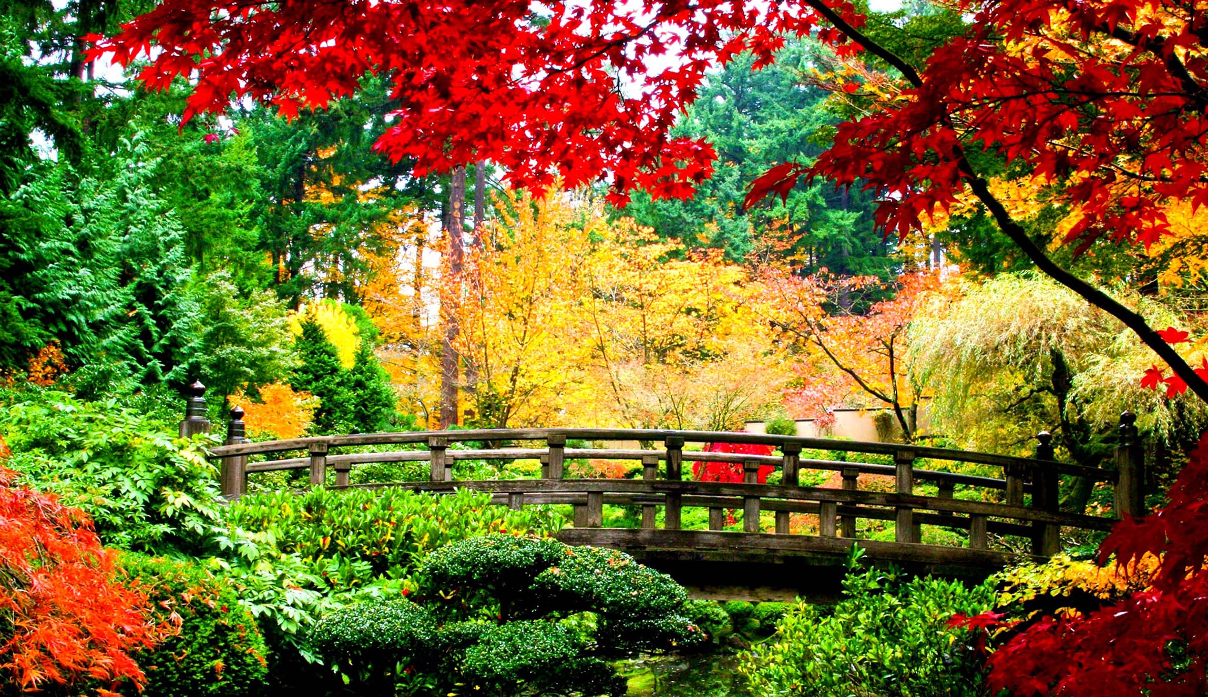 2376x1372 Japan Nature Wallpaper