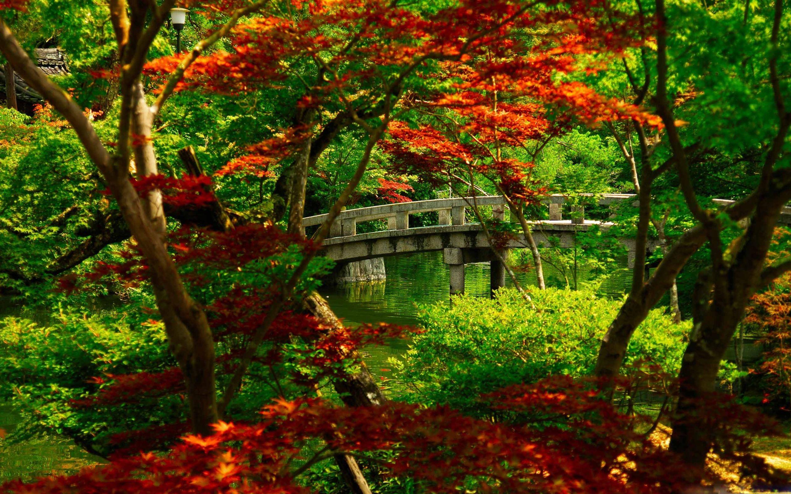 2560x1600 Best garden Mac Wallpaper Free HD Download