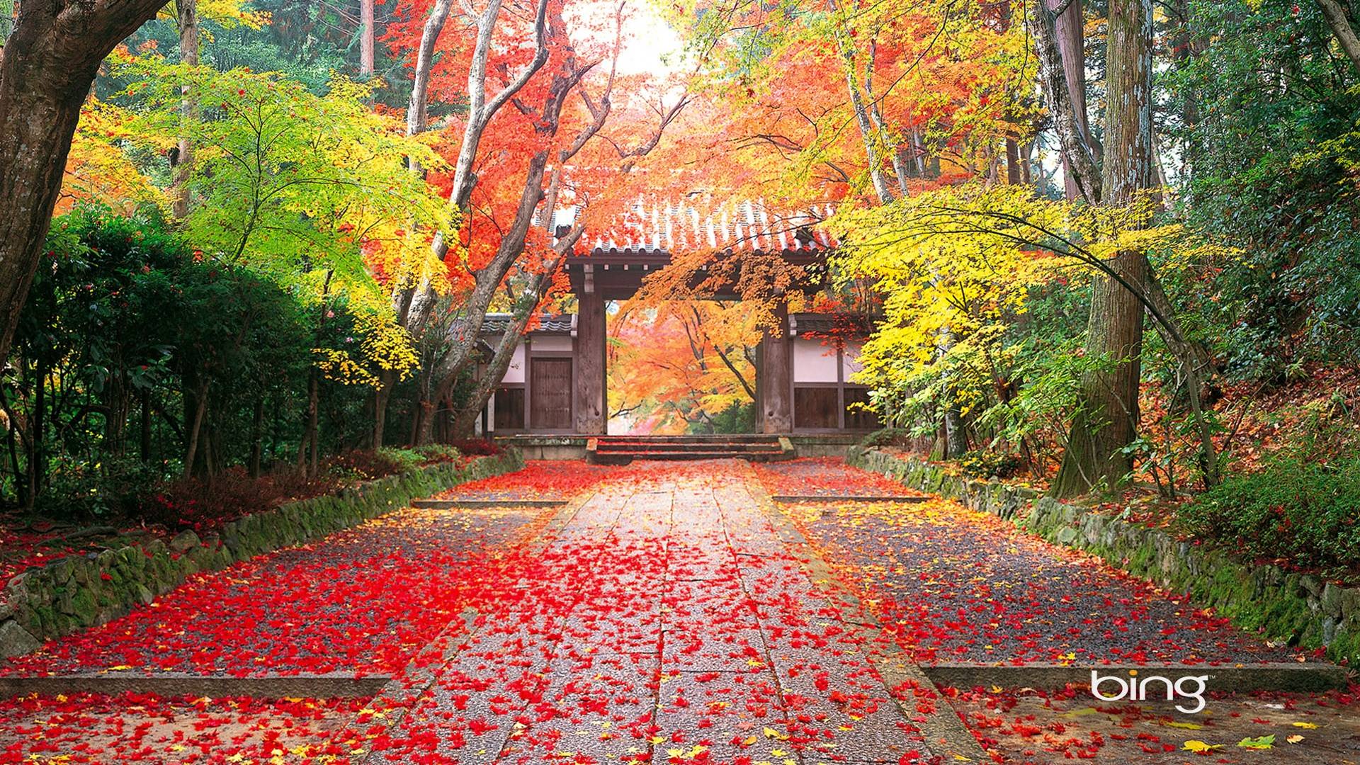 1920x1080 Beautiful Japan Wallpaper The Land Of Rising Sun