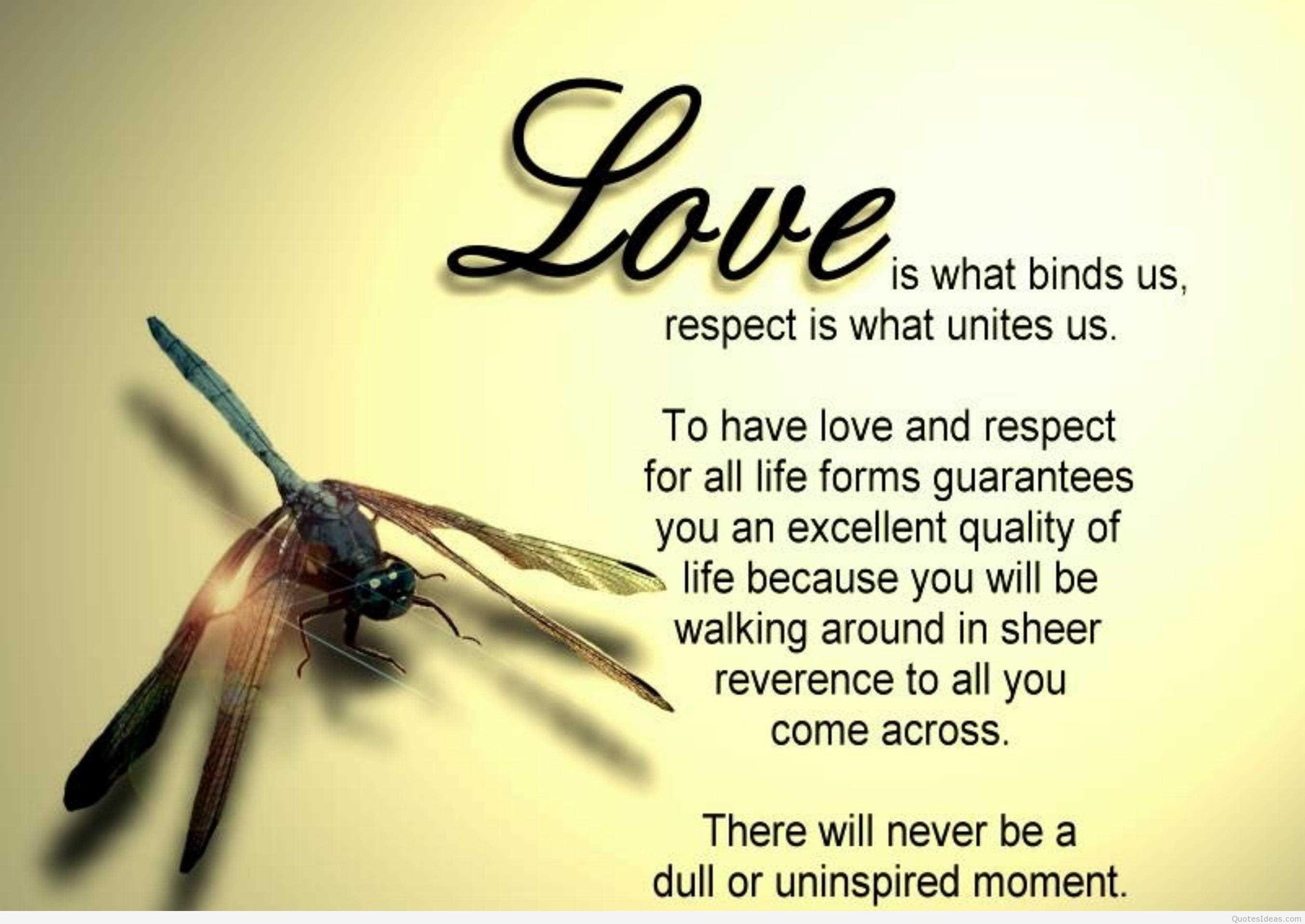 2708x1918 Free download Amazing love and life quotes picture wallpaper HD