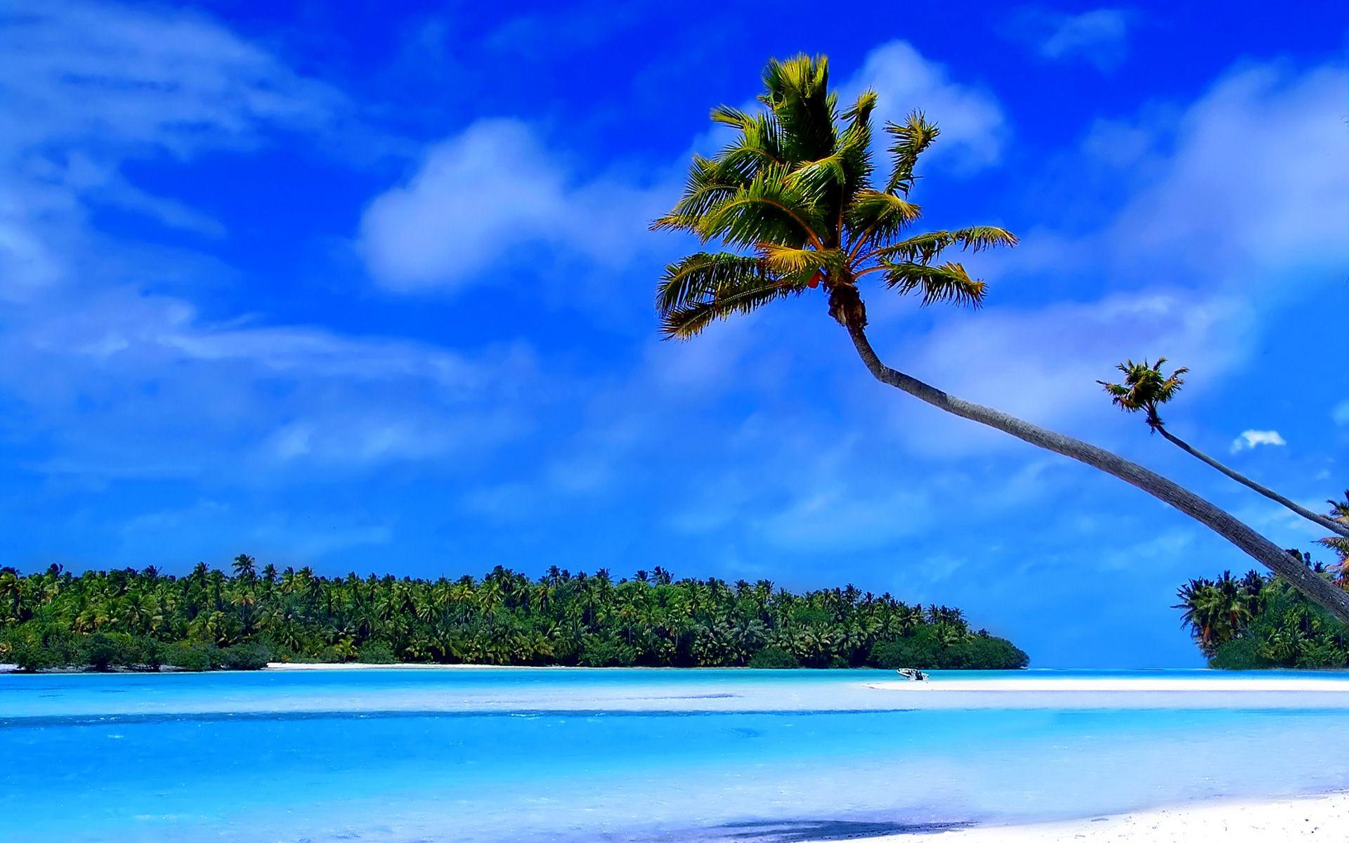 1920x1200 Caribbean Desktop Background. Beautiful