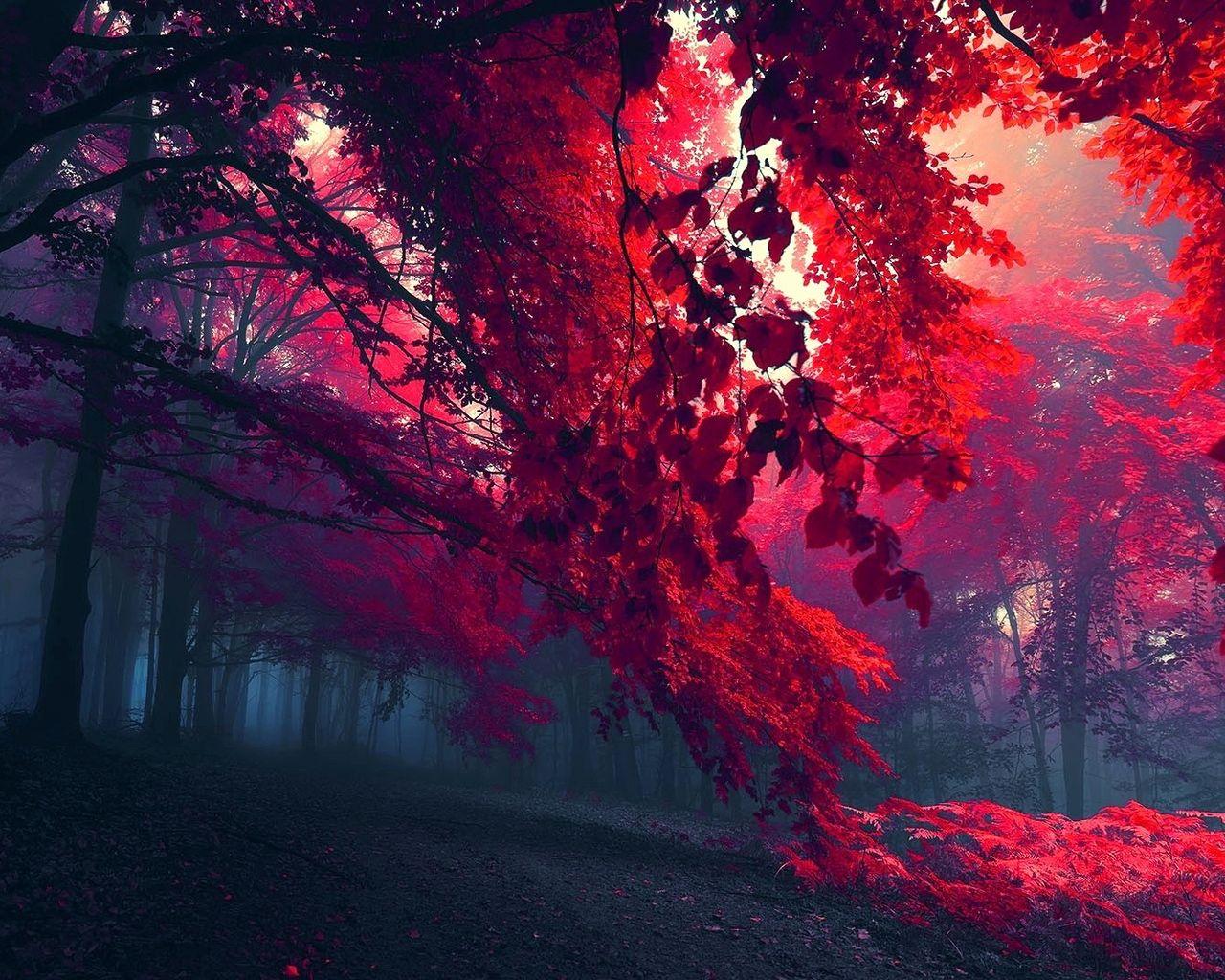1280x1024 Landscape Wallpaper Inspirational Landscapes HD Wallpaper