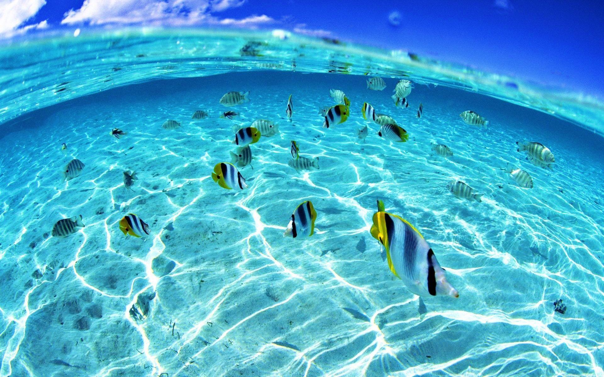 1920x1200 Hawaii Ocean Wallpaper