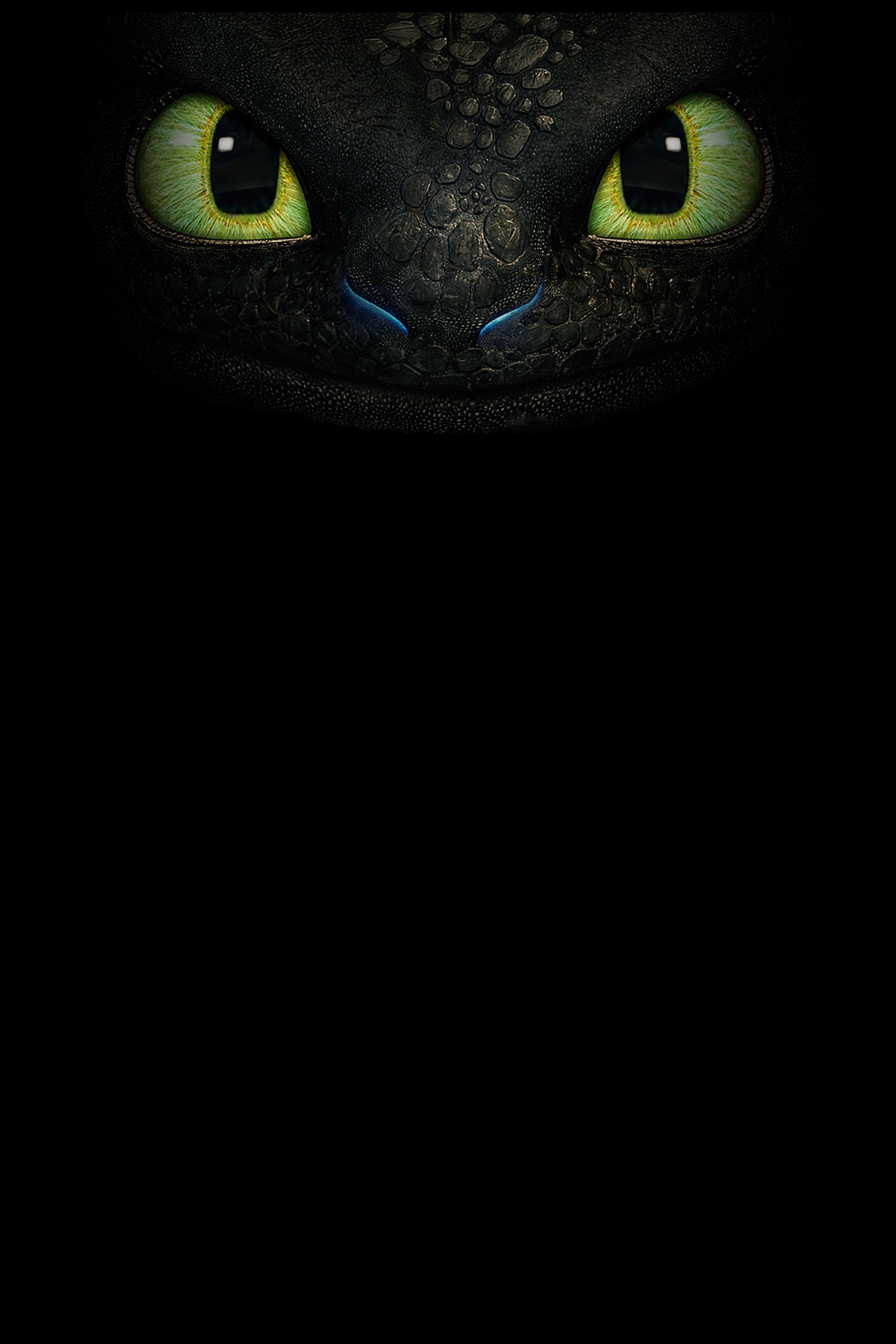 3200x4800 How to Train Your Dragon 2 Wallpaper HD Collection. How to train