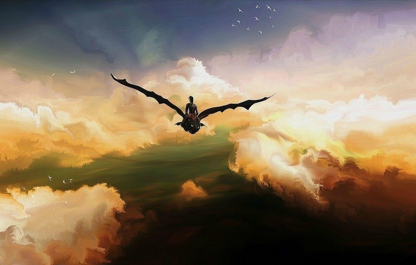 1332x850 Wallpaper the sky, birds, Hiccup, Toothless, Toothless, the night
