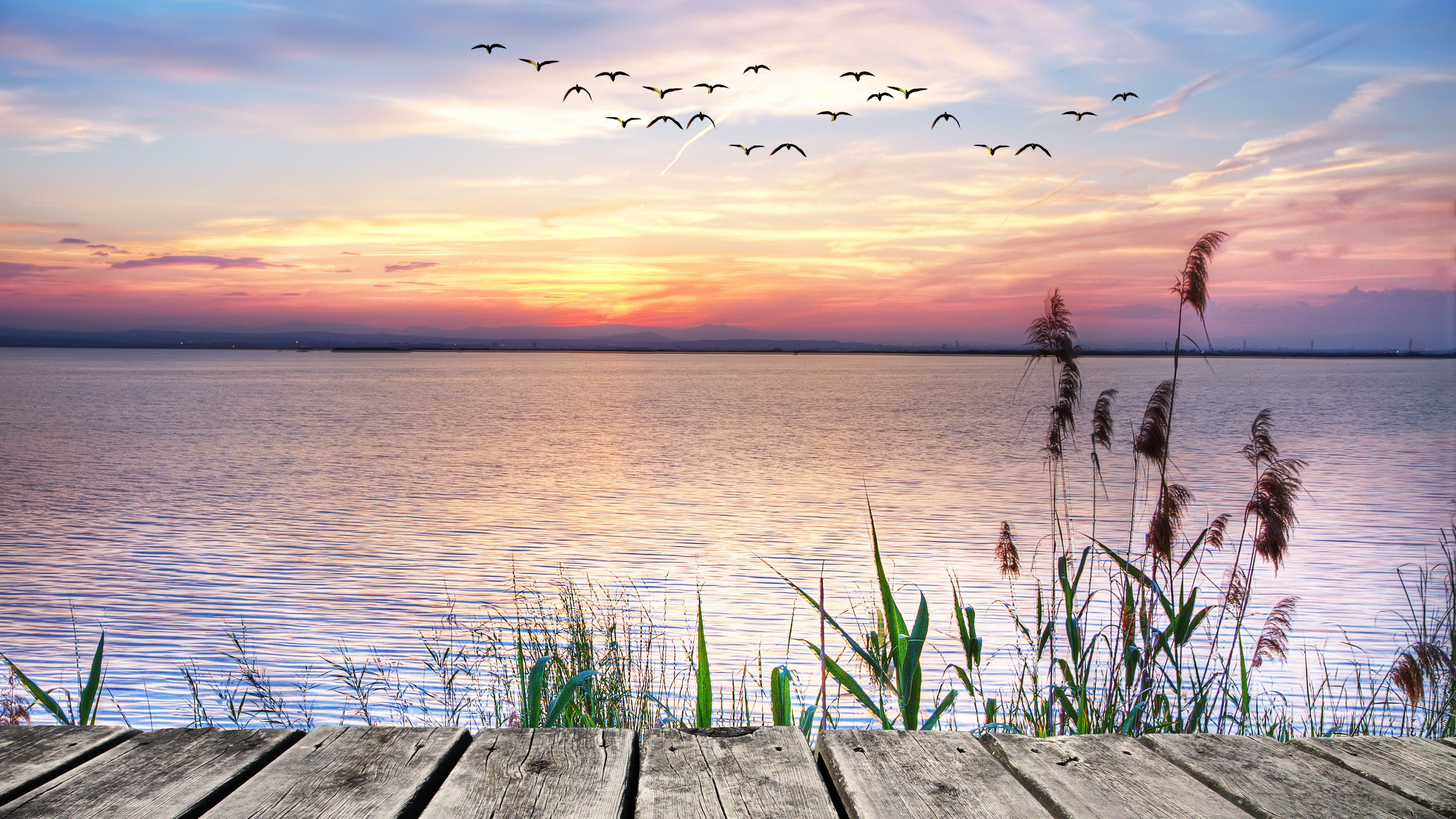 5120x2880 Wallpaper Pierce, 5k, 4k wallpaper, 8k, sea, river, sunset, reed