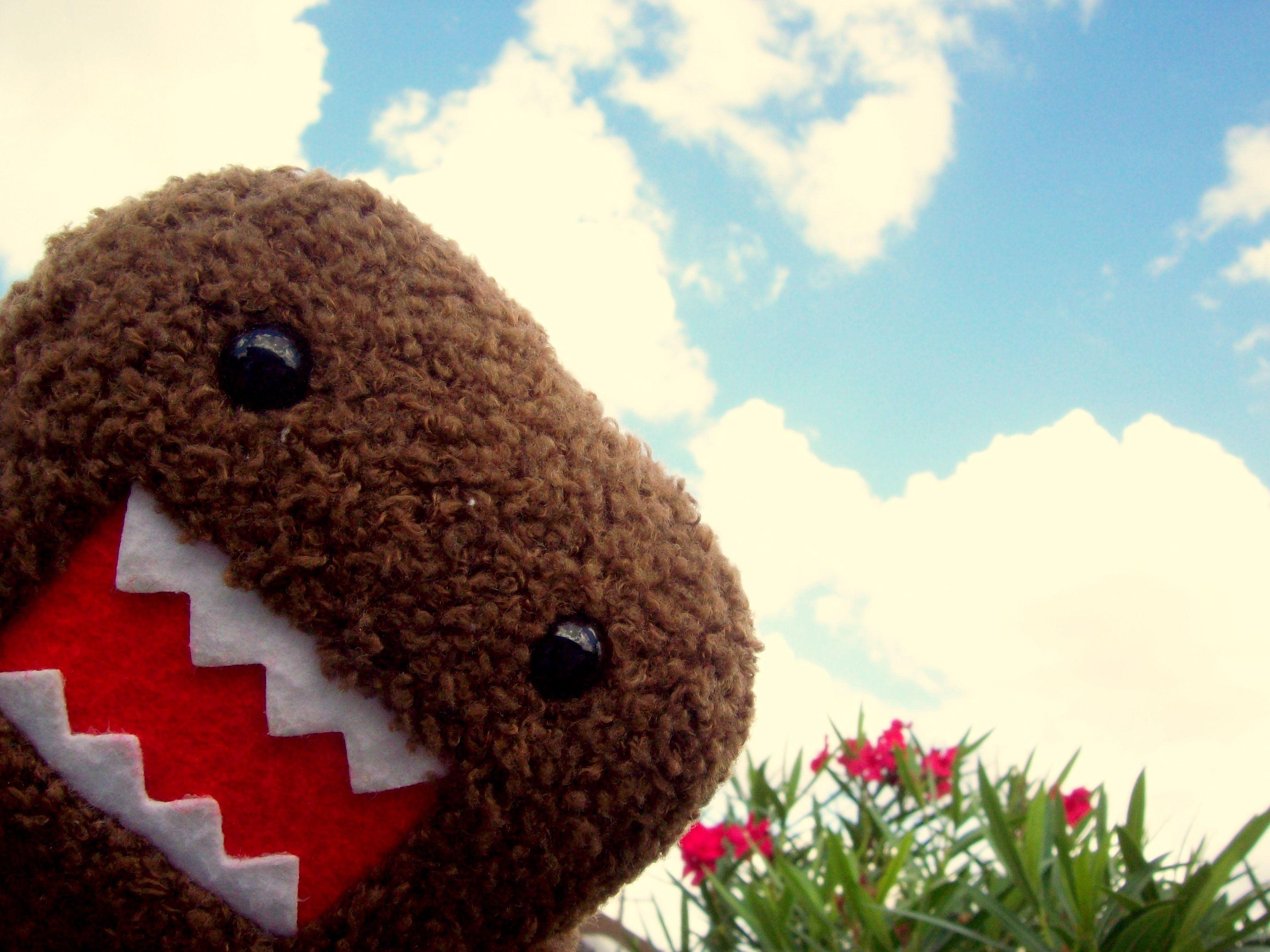 3056x2292 31: Domo Wallpaper for Desktop for PC & Mac, Tablet, Laptop, Mobile