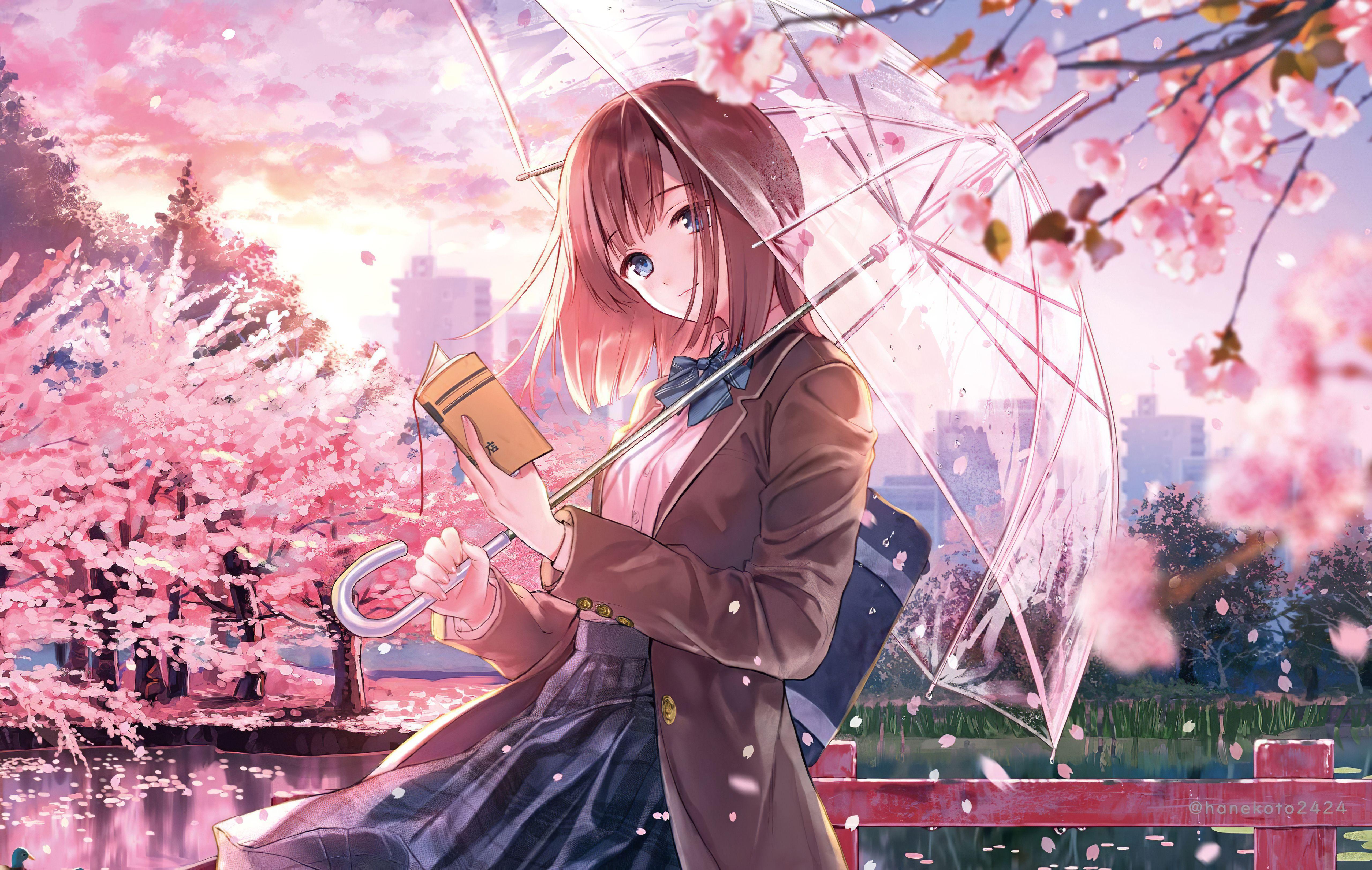 Anime Cherry Blossom Girl Wallpapers - Top Free Anime Cherry Blossom Girl  Backgrounds - WallpaperAccess
