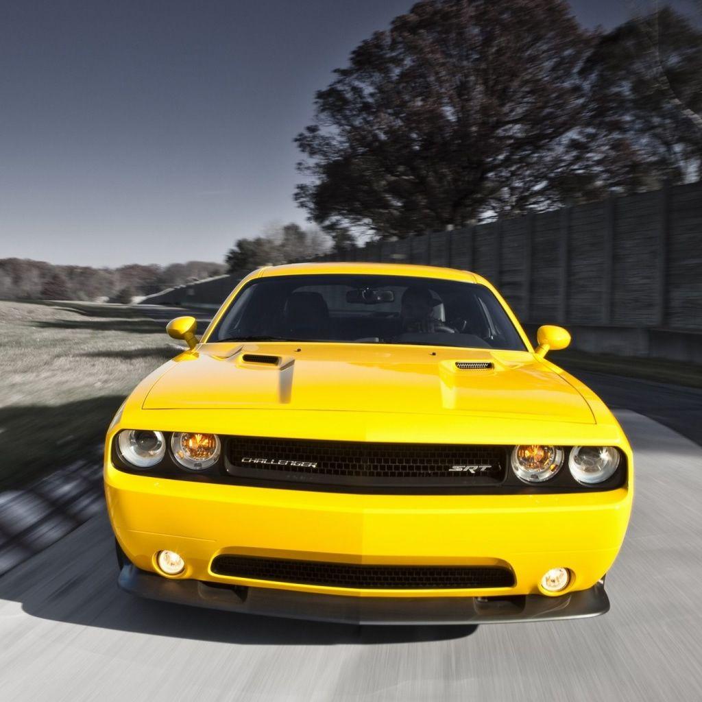 1024x1024 Dodge Challenger Srt iPad Wallpaper Free Download