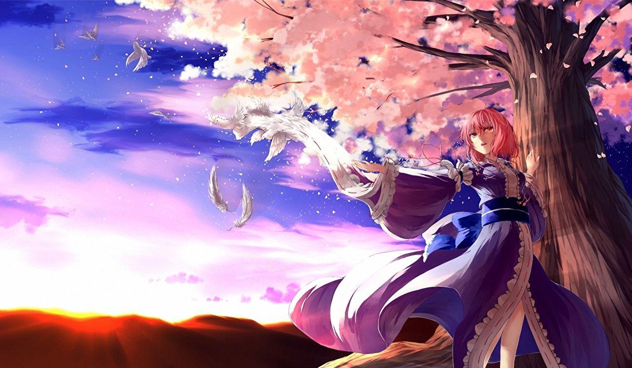1280x746 Photos Touhou Collection Sakura saigyouji yuyuko Anime female Trees