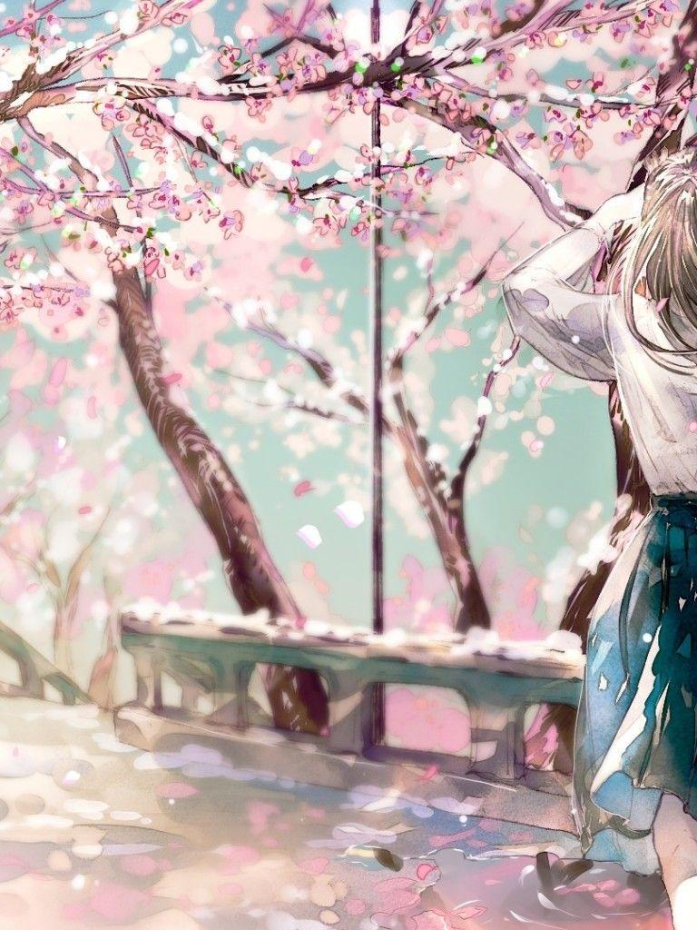 768x1024 Download 768x1024 Cherry Blossom, Sakura, Anime Girl, Back View