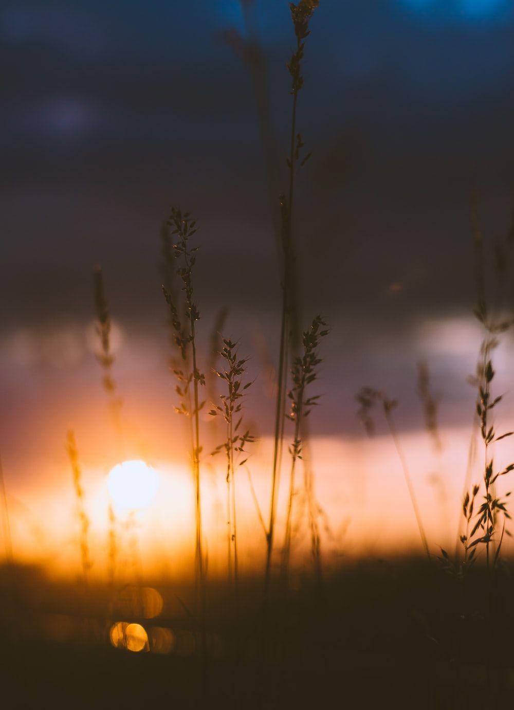 1000x1381 Evening Picture. Download Free Image