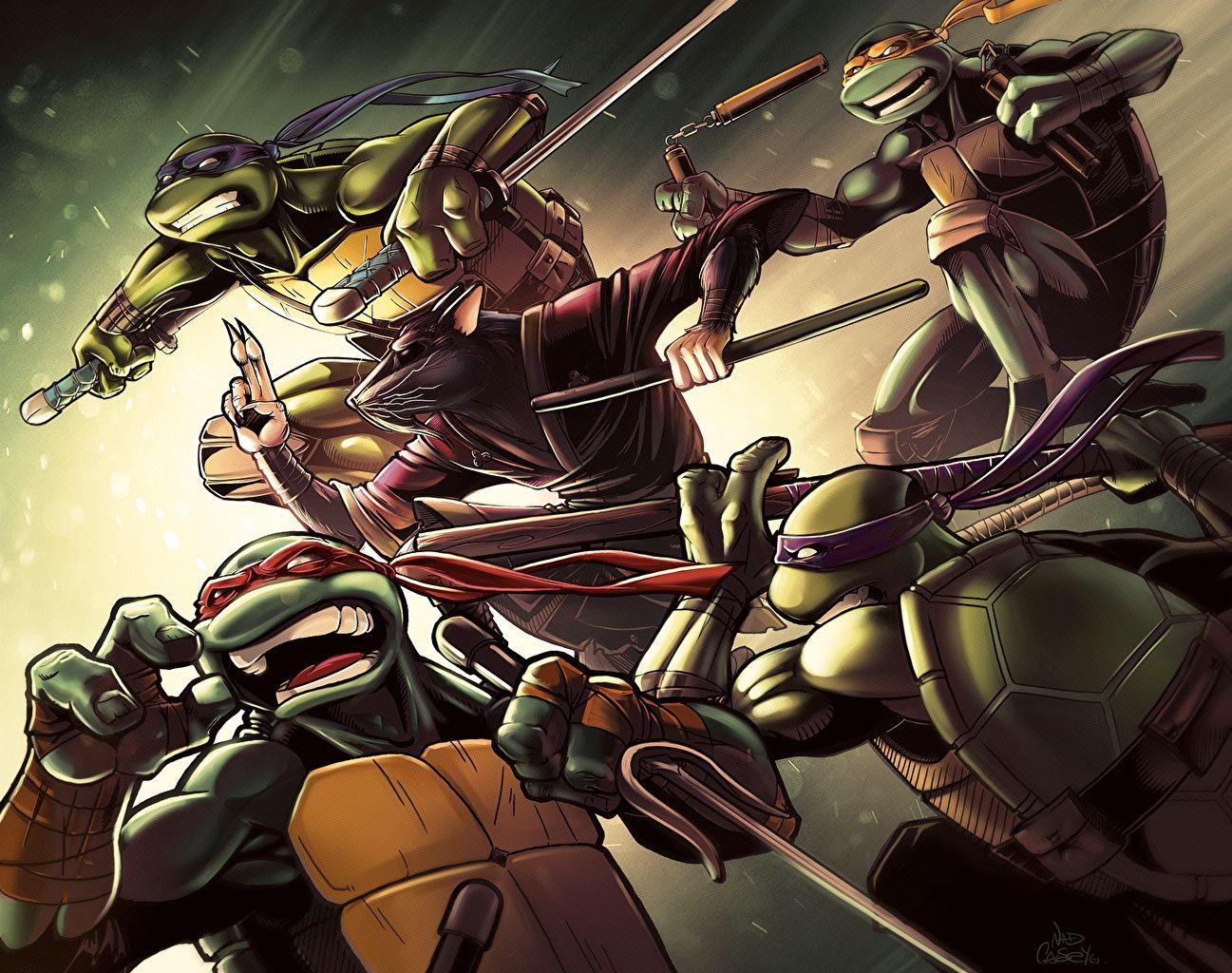1297x1024 Wallpaper Teenage Mutant Ninja Turtles Michelangelo, Leonardo