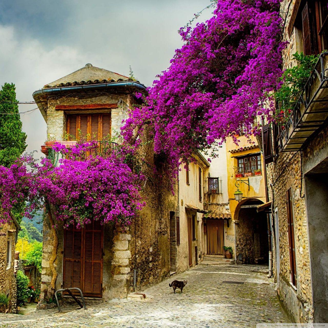 1280x1280 European Architecture Ultra HD Desktop Background Wallpaper for 4K UHD TV : Widescreen & UltraWide Desktop & Laptop : Tablet