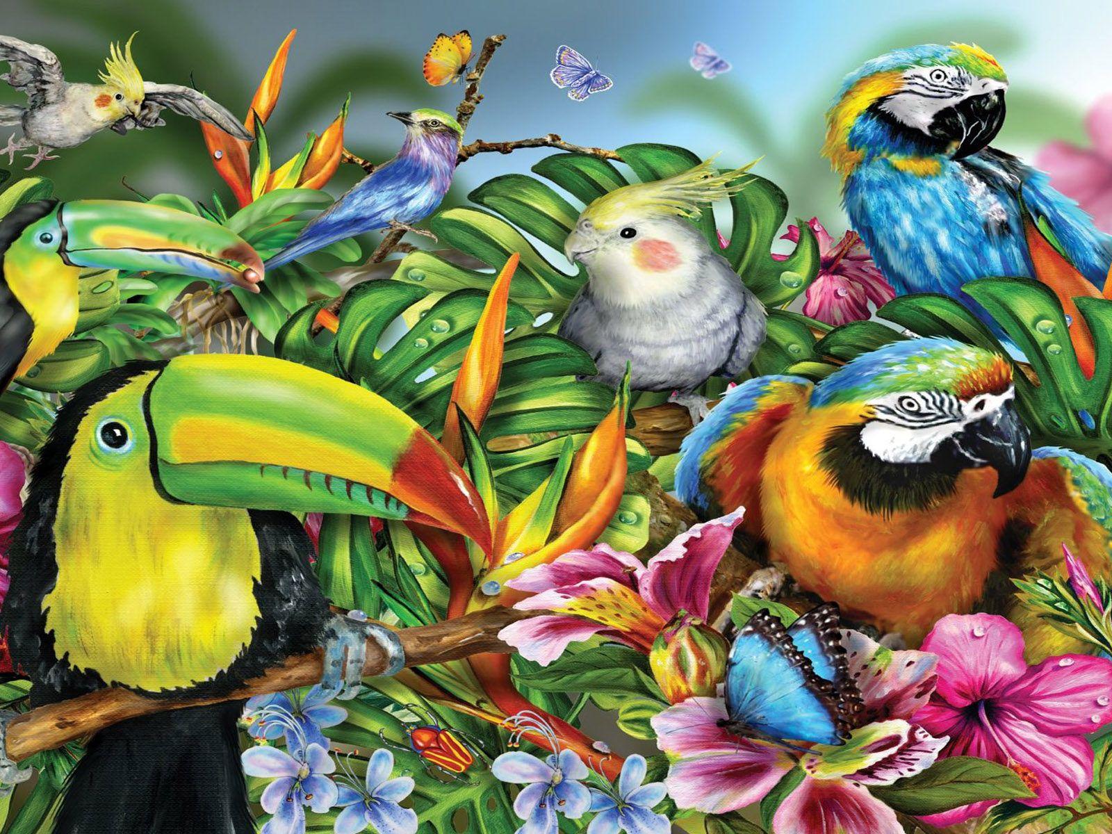 1600x1200 Tropical Colorful Birds Papagal Ara Toucan Bird With A Beak