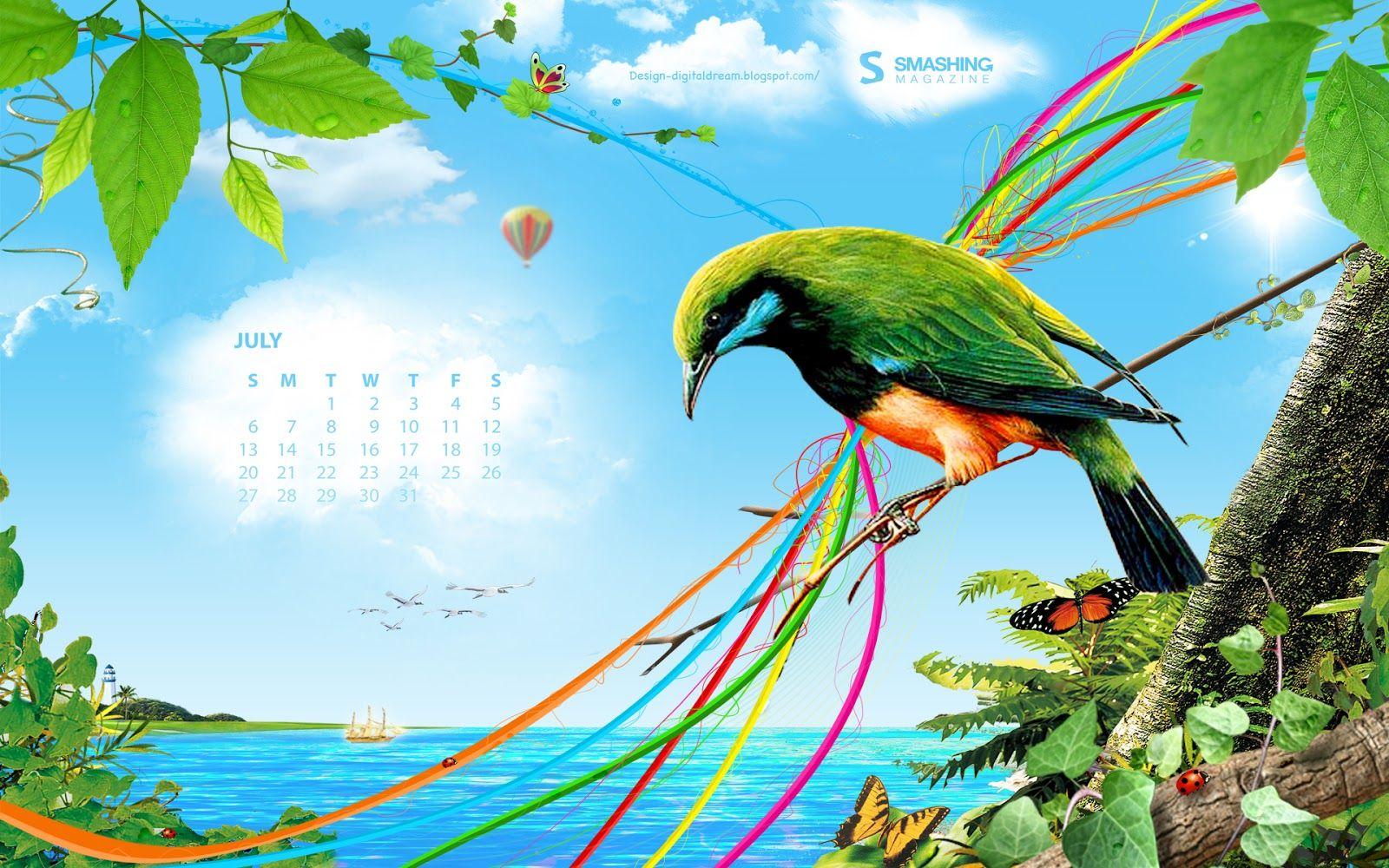 Colorful Birds Wallpapers - Top Free Colorful Birds Backgrounds ...