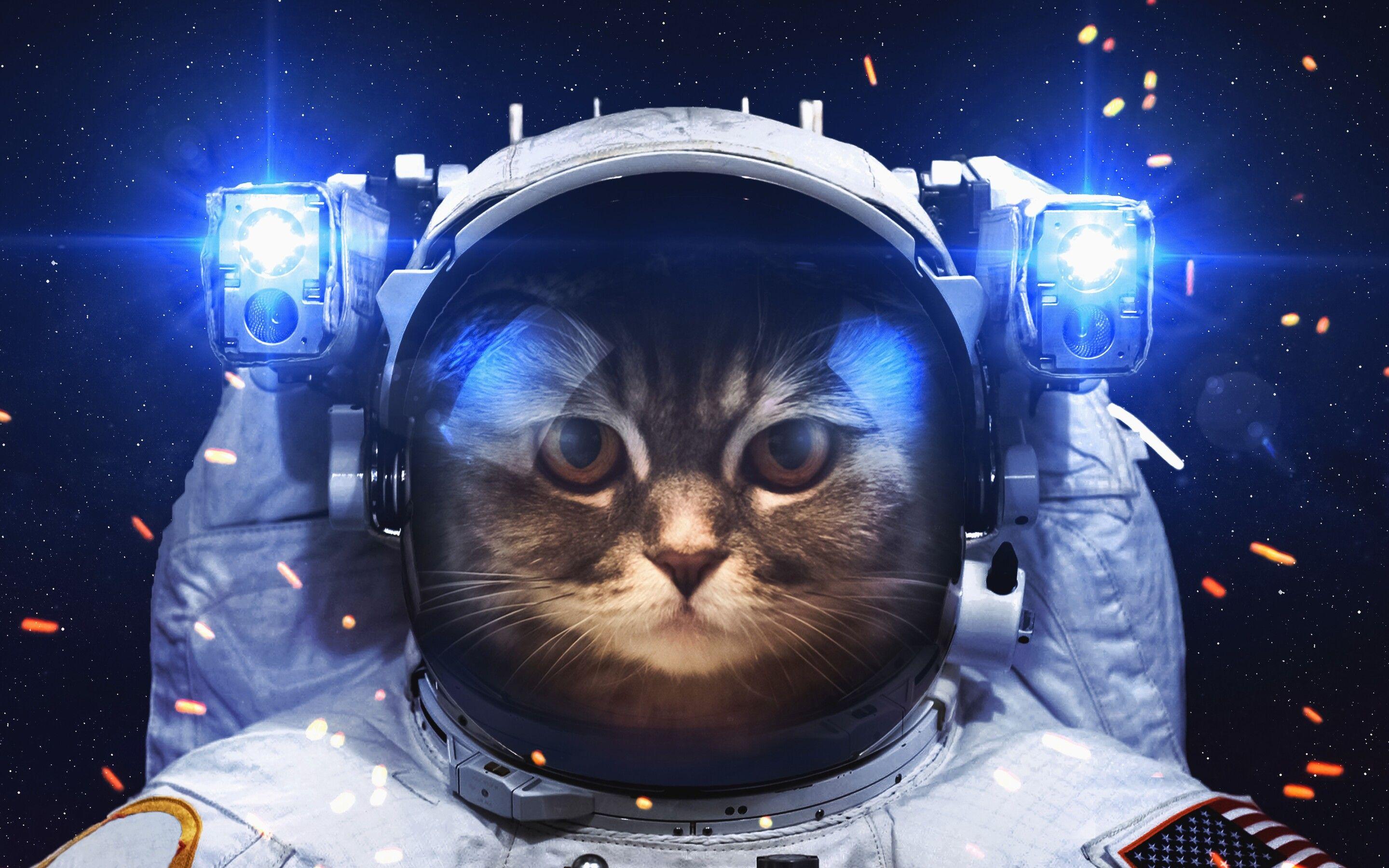 2880x1800 Astronaut Cat Macbook Pro Retina HD 4k Wallpaper
