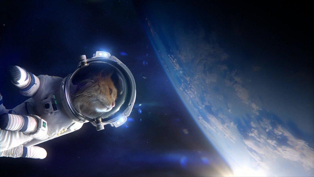 1200x675 Space cat wallpaper dump