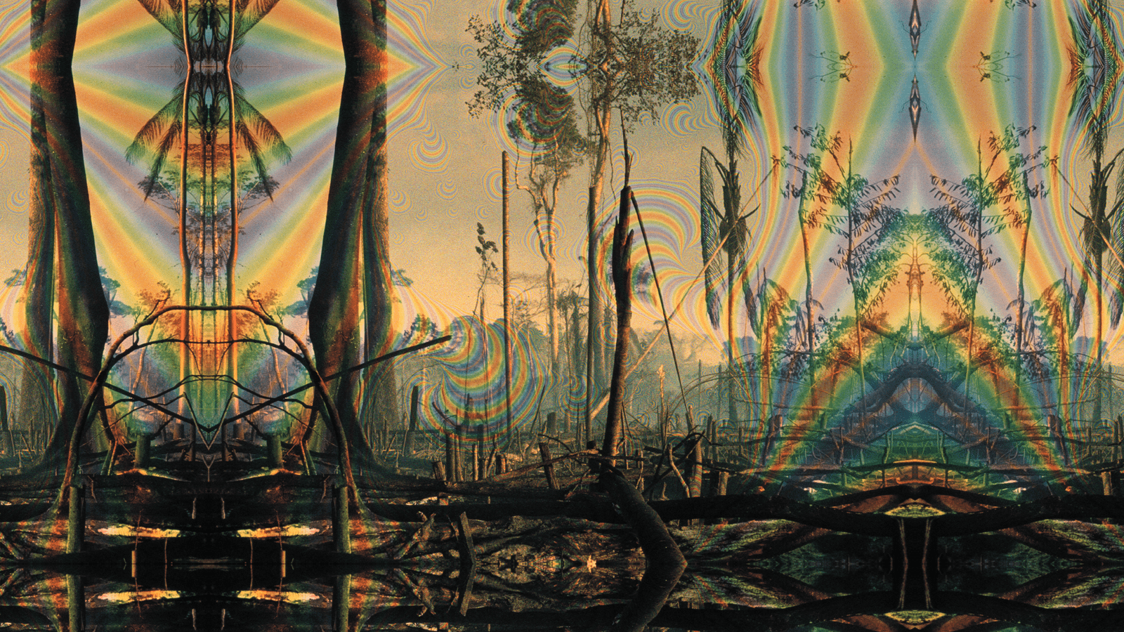 1600x900 Free download Psychedelic art Fine psychedelic picture 1600x900