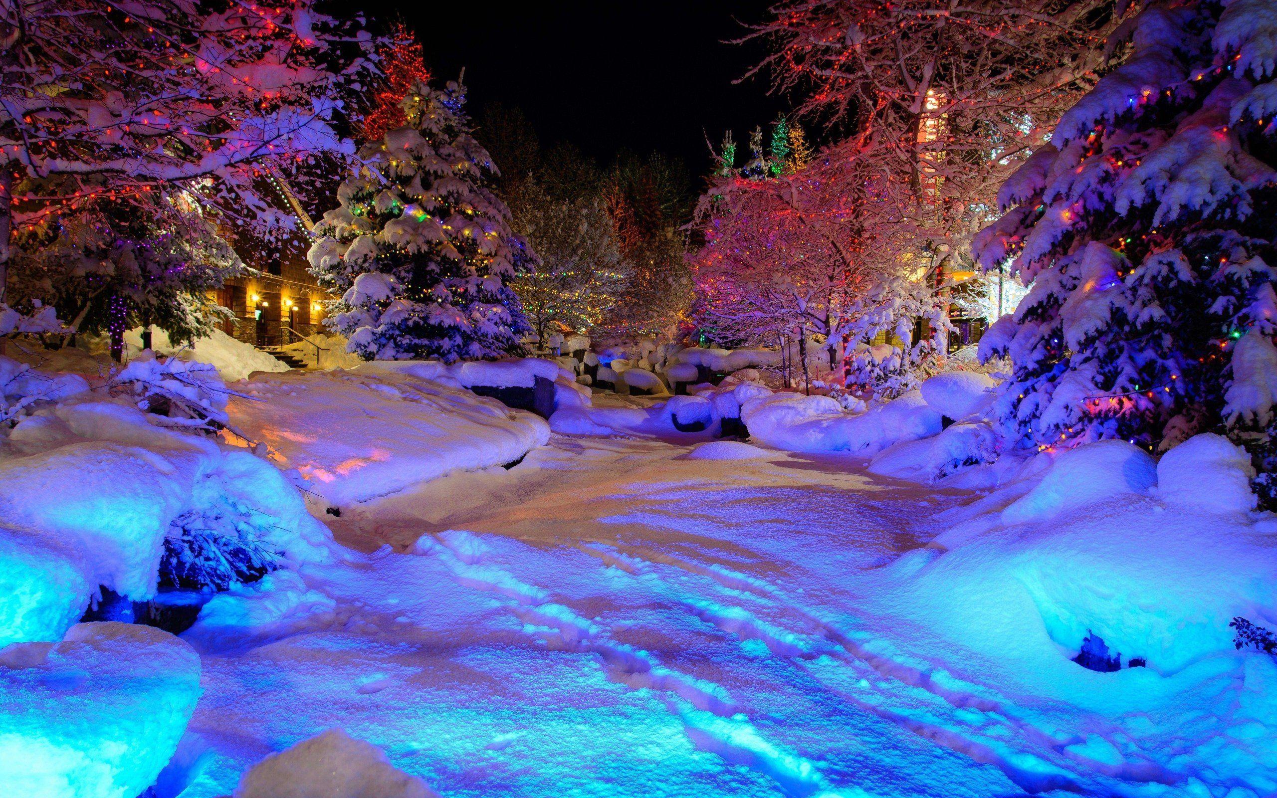2560x1600 Whistler Village Christmas winter trees garlands psychedelic